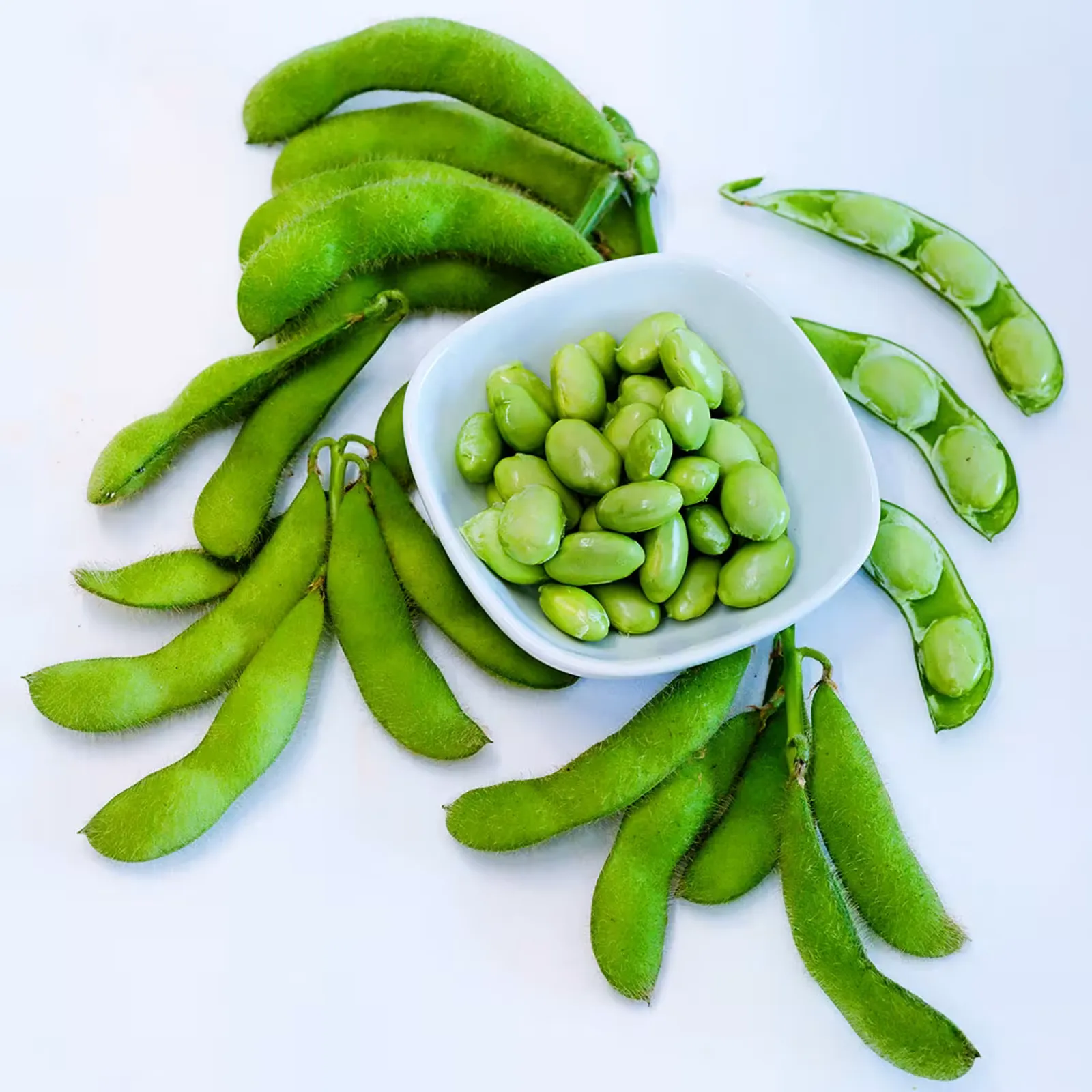 Midori Star Beans