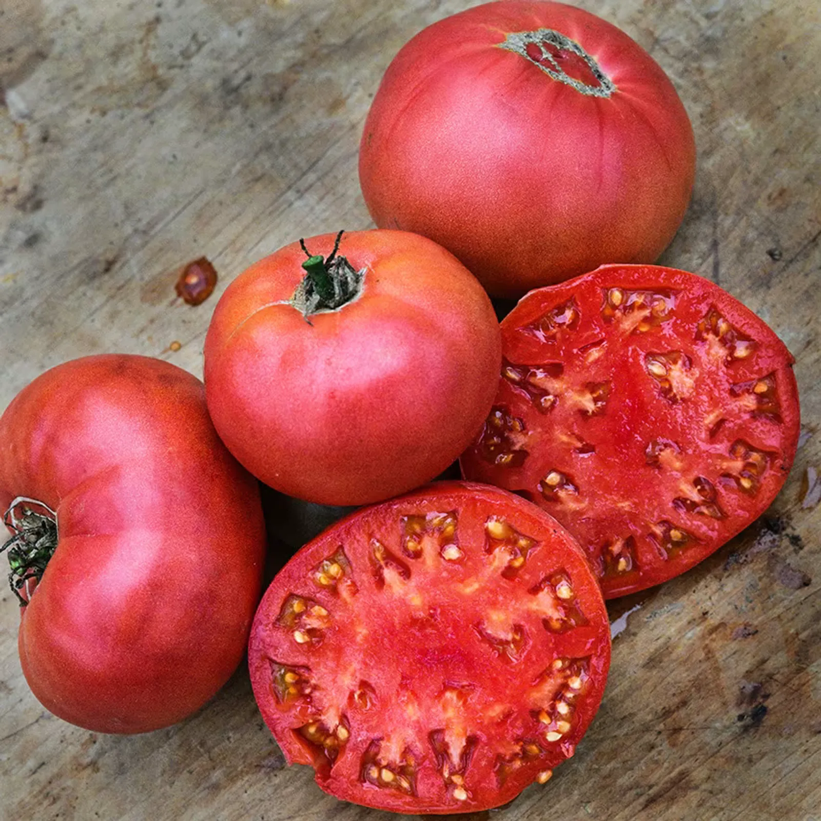 Millionaire Tomatoes