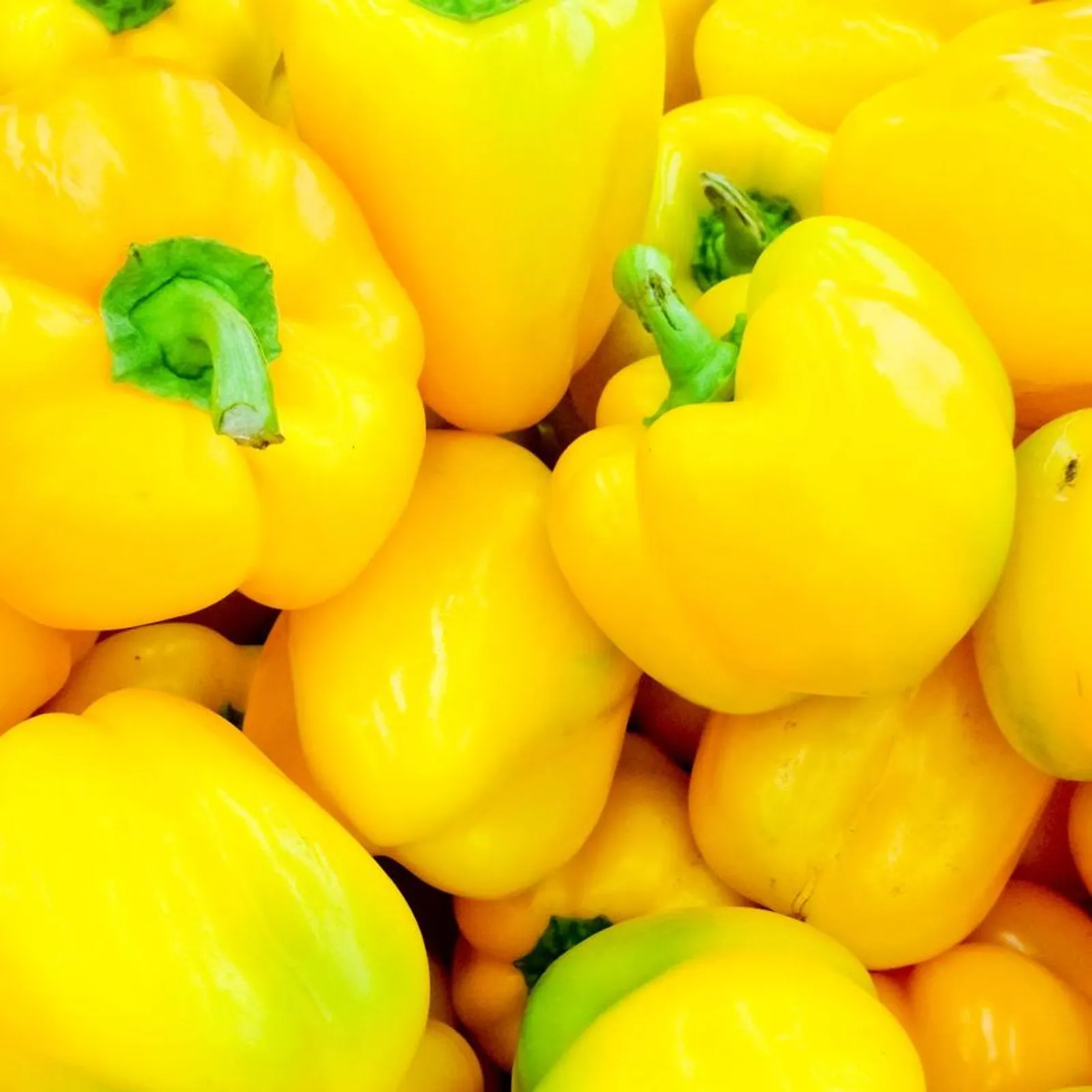 Miniature Yellow Bell Peppers