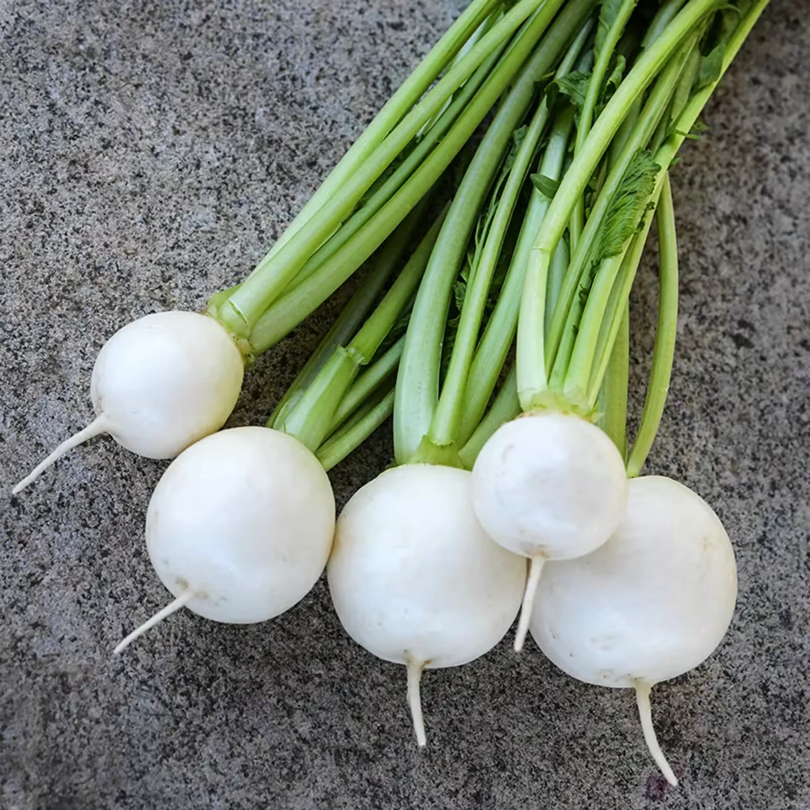 Miyama Turnips