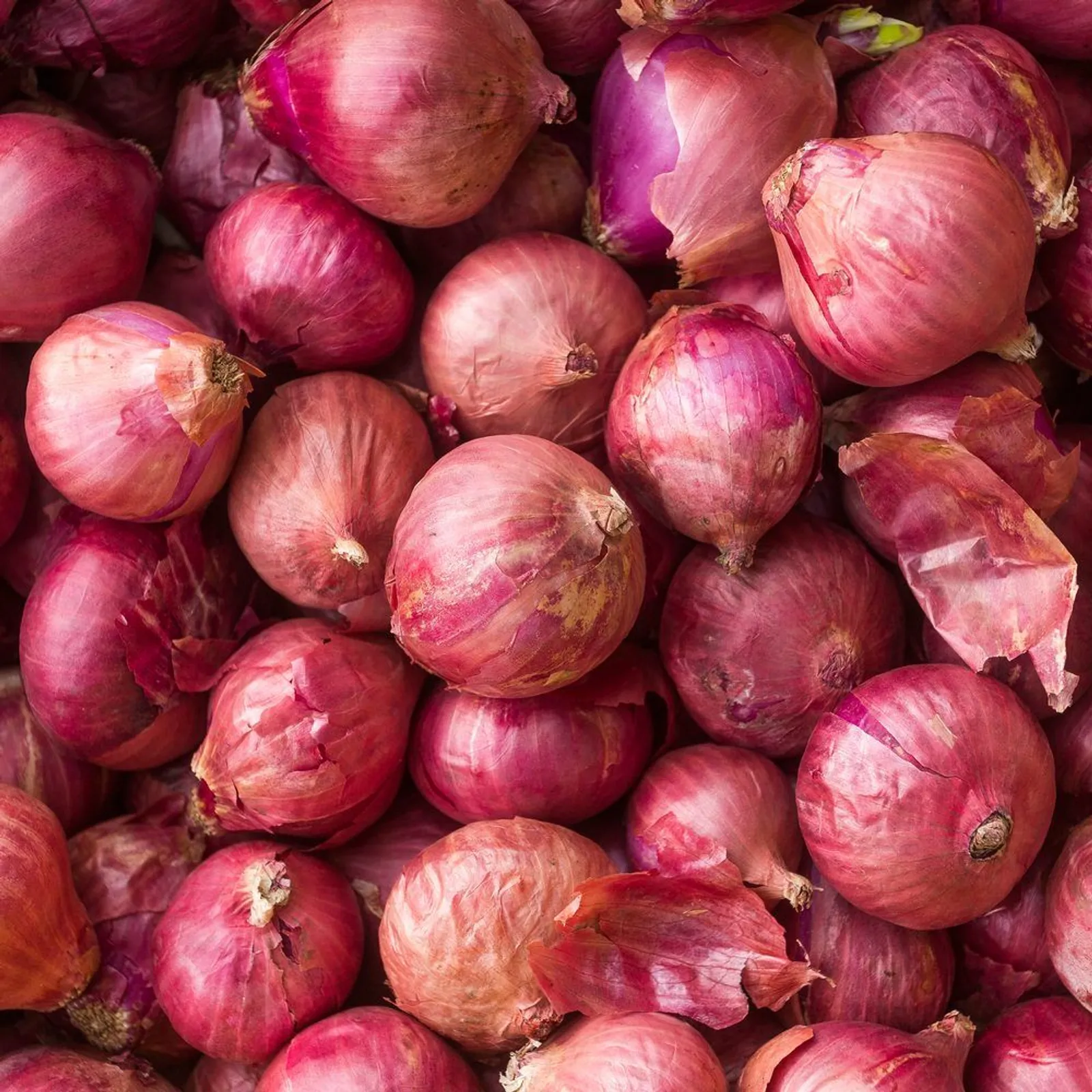 Monastrell Bulb Onions