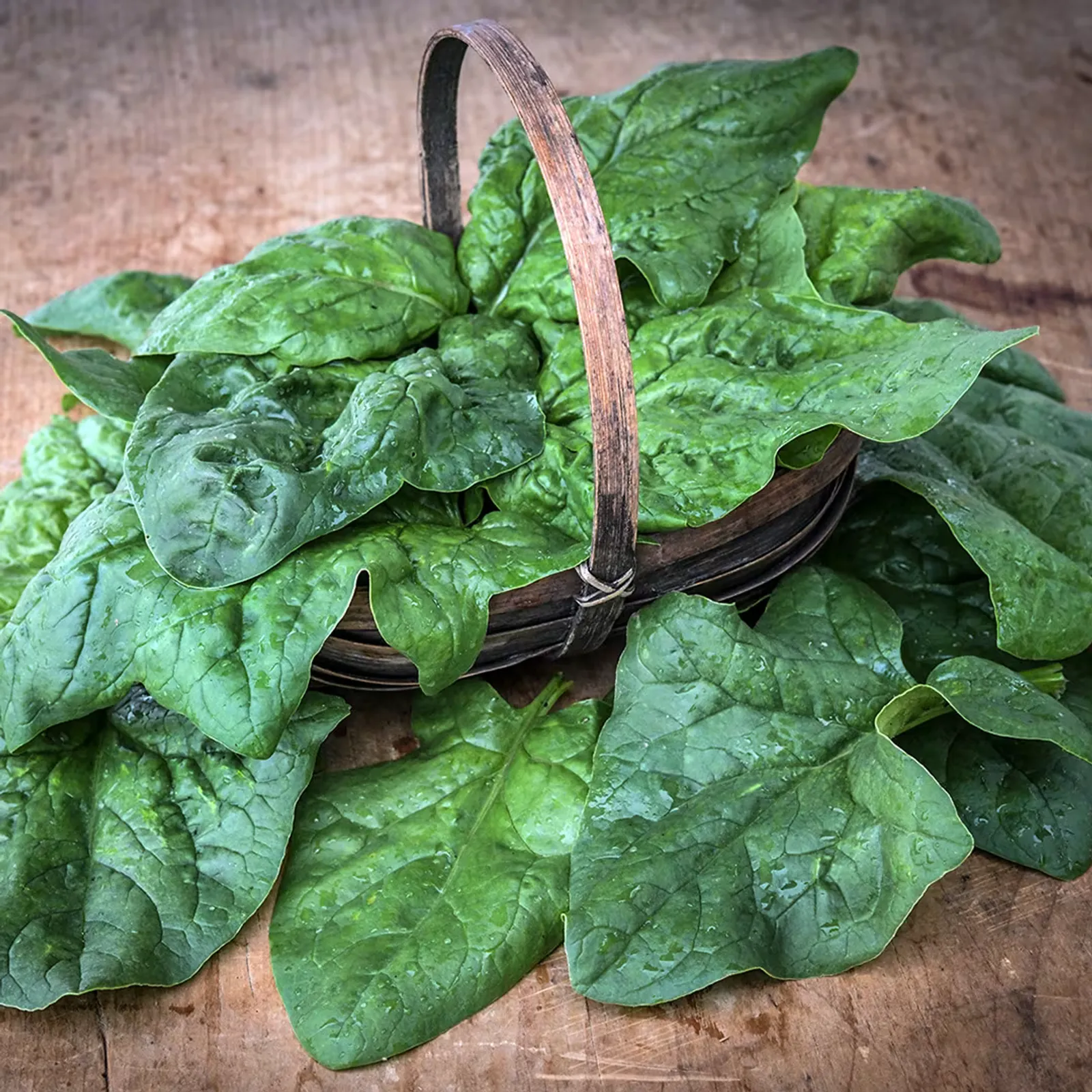 Monnopa Spinach