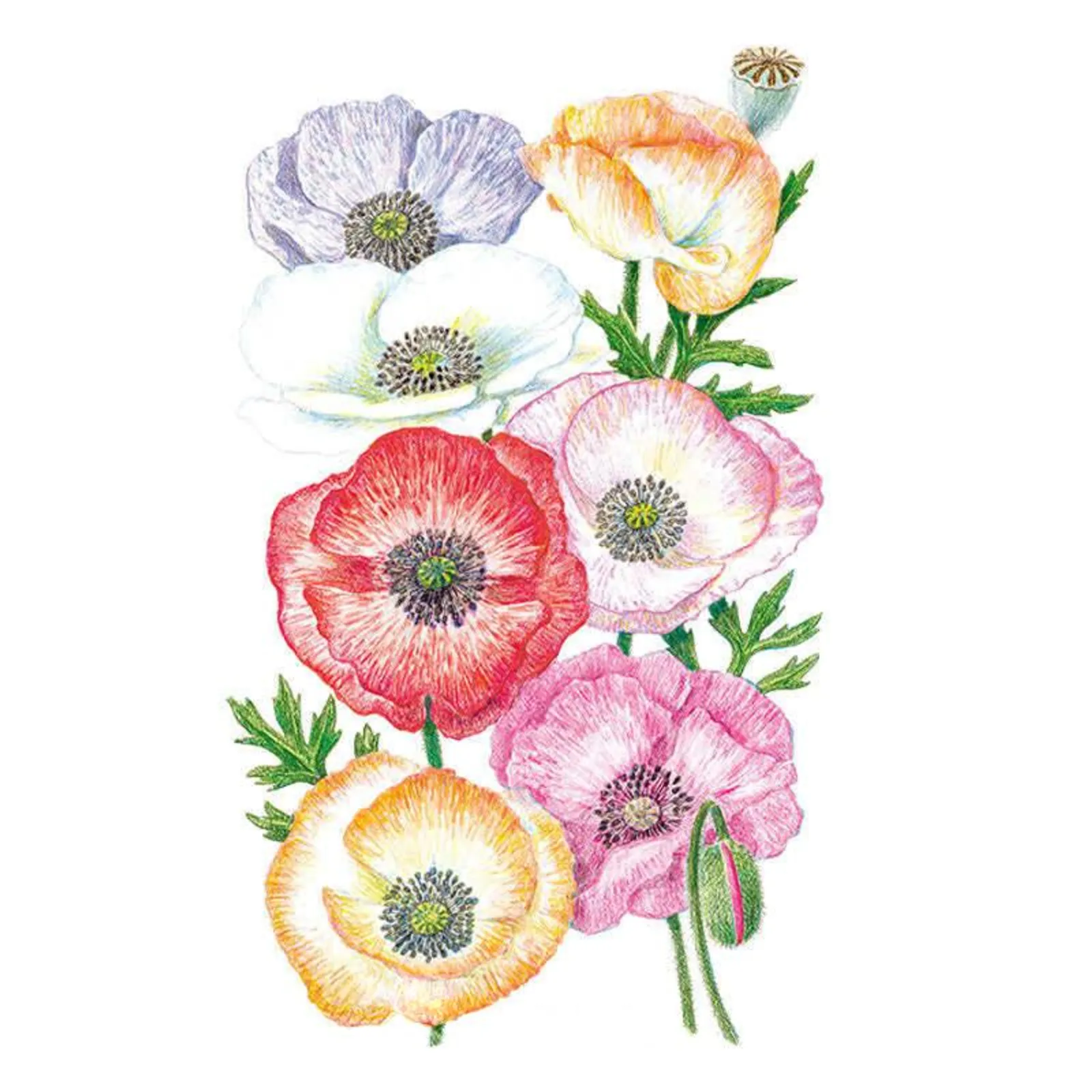 Mother of Pearl Poppies