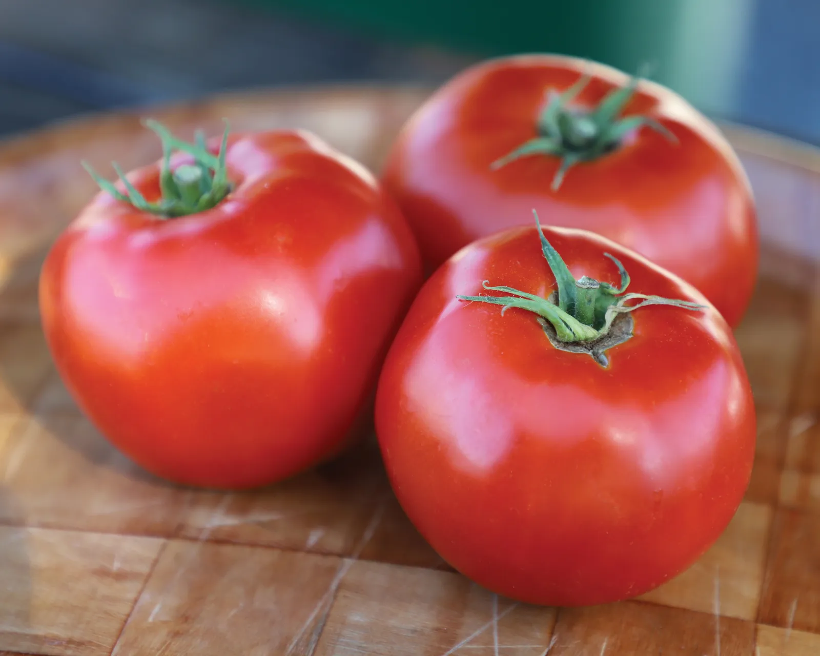 Mountain Fresh Plus Tomatoes