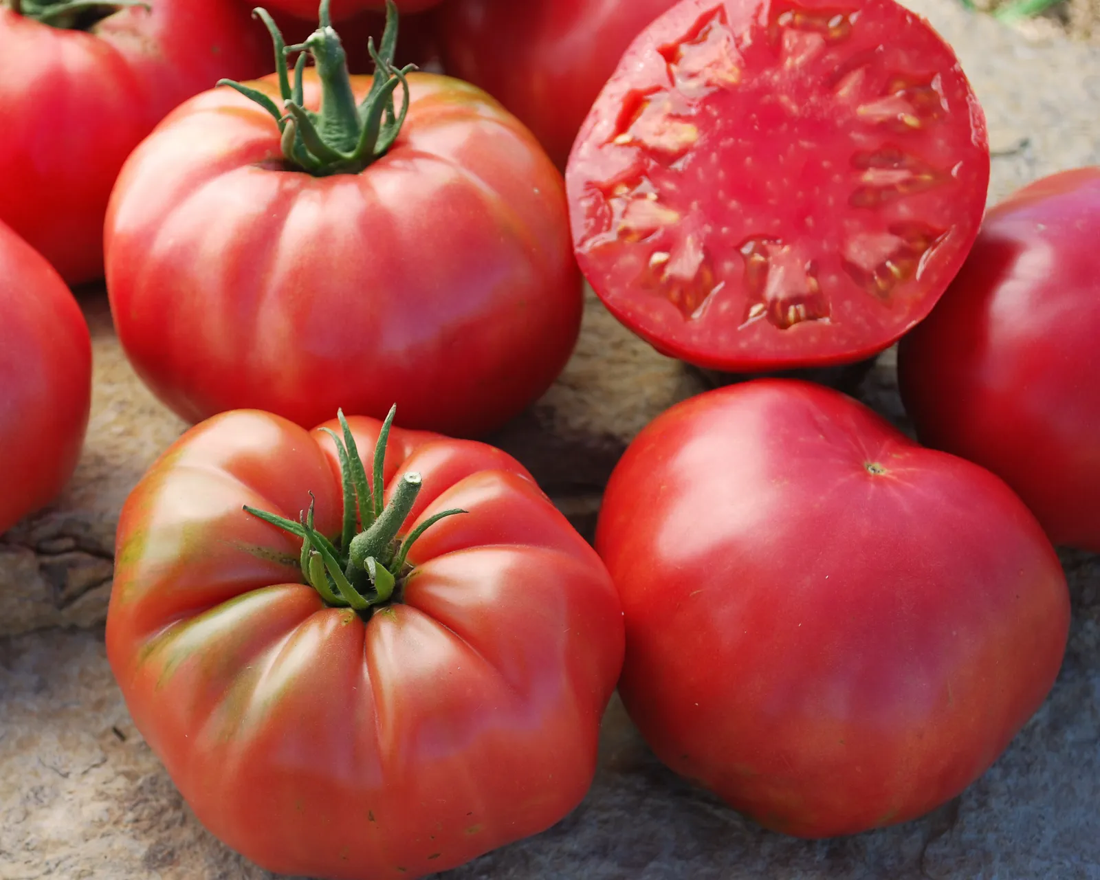 Mrs. Maxwell's Big Italian Heirloom Beefsteak Tomatoes