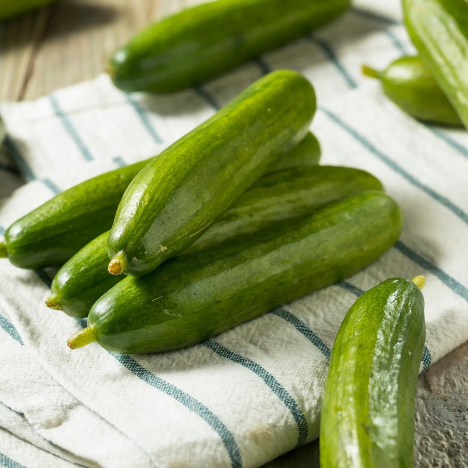 Muncher Persian Cucumbers