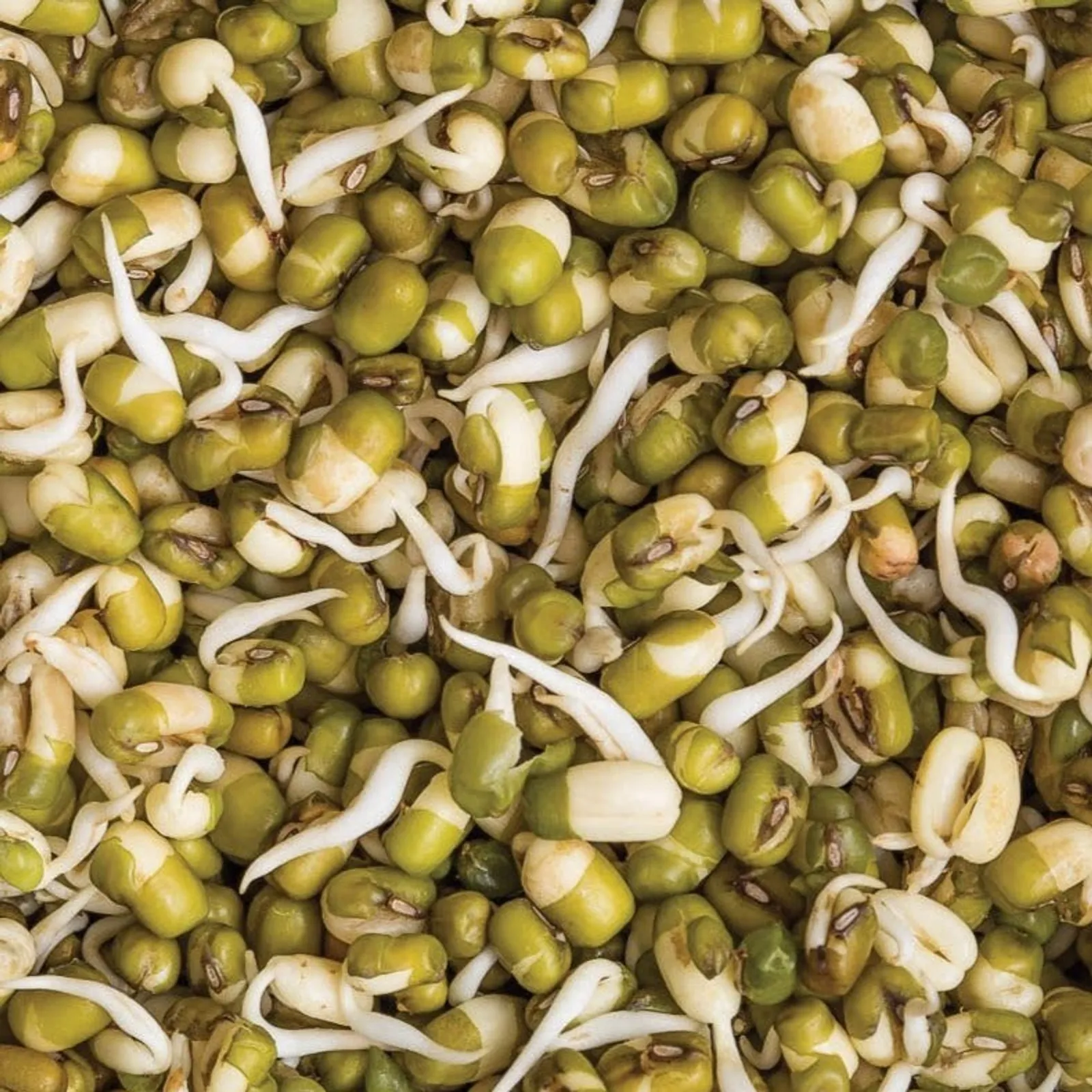 Mung Beans