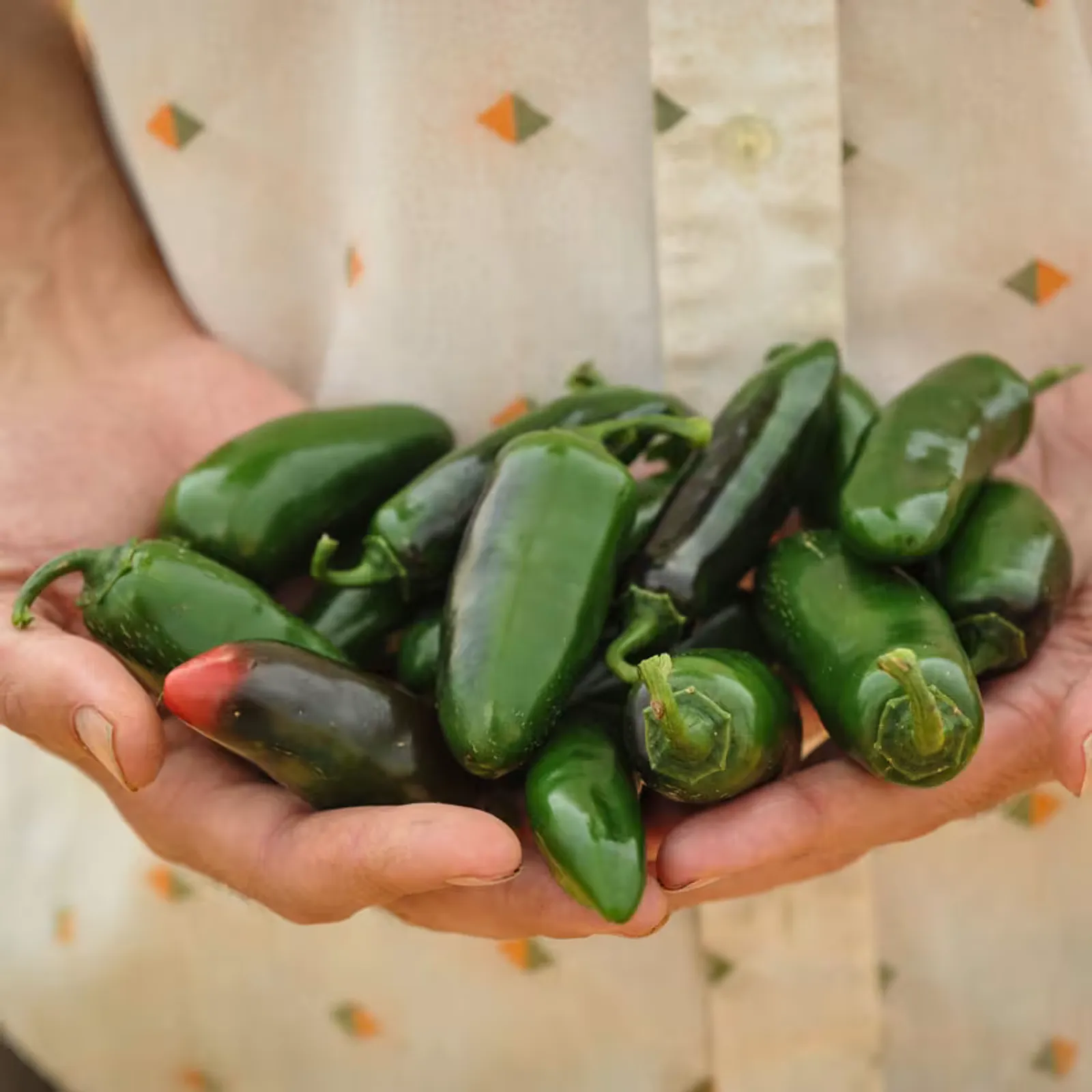 Nadapeño Peppers