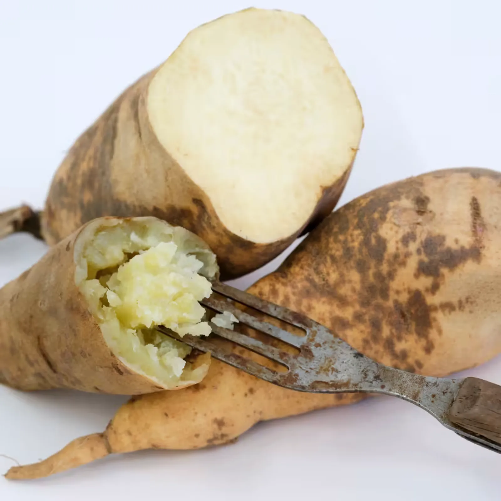 Nancy Hall Sweet Potatoes