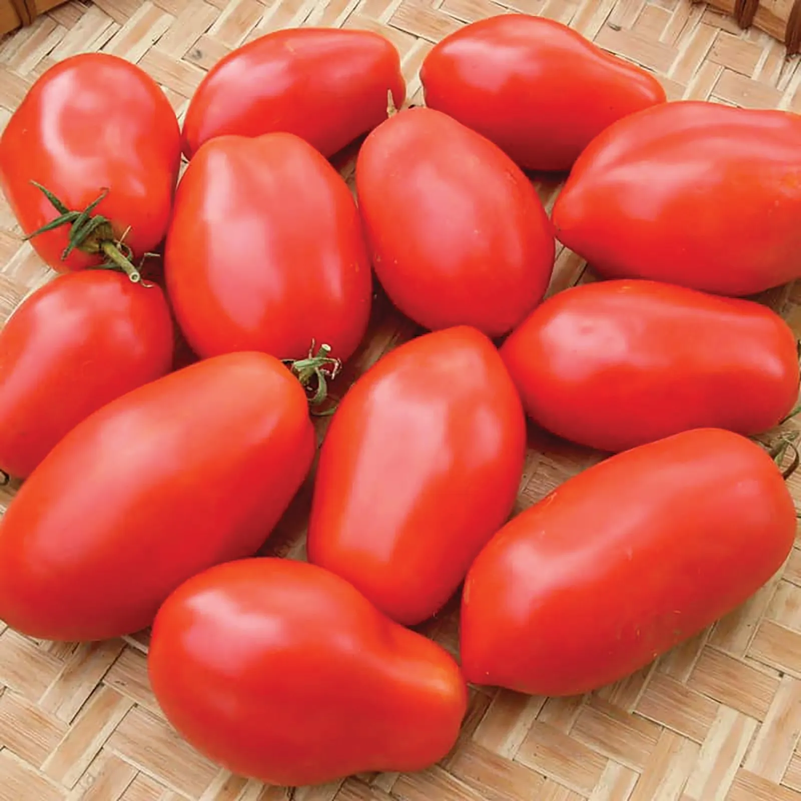 Napoli Tomatoes