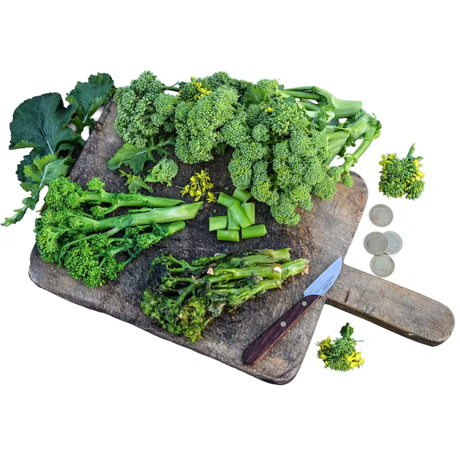Natalina Di Fasano Cima Grande Broccoli