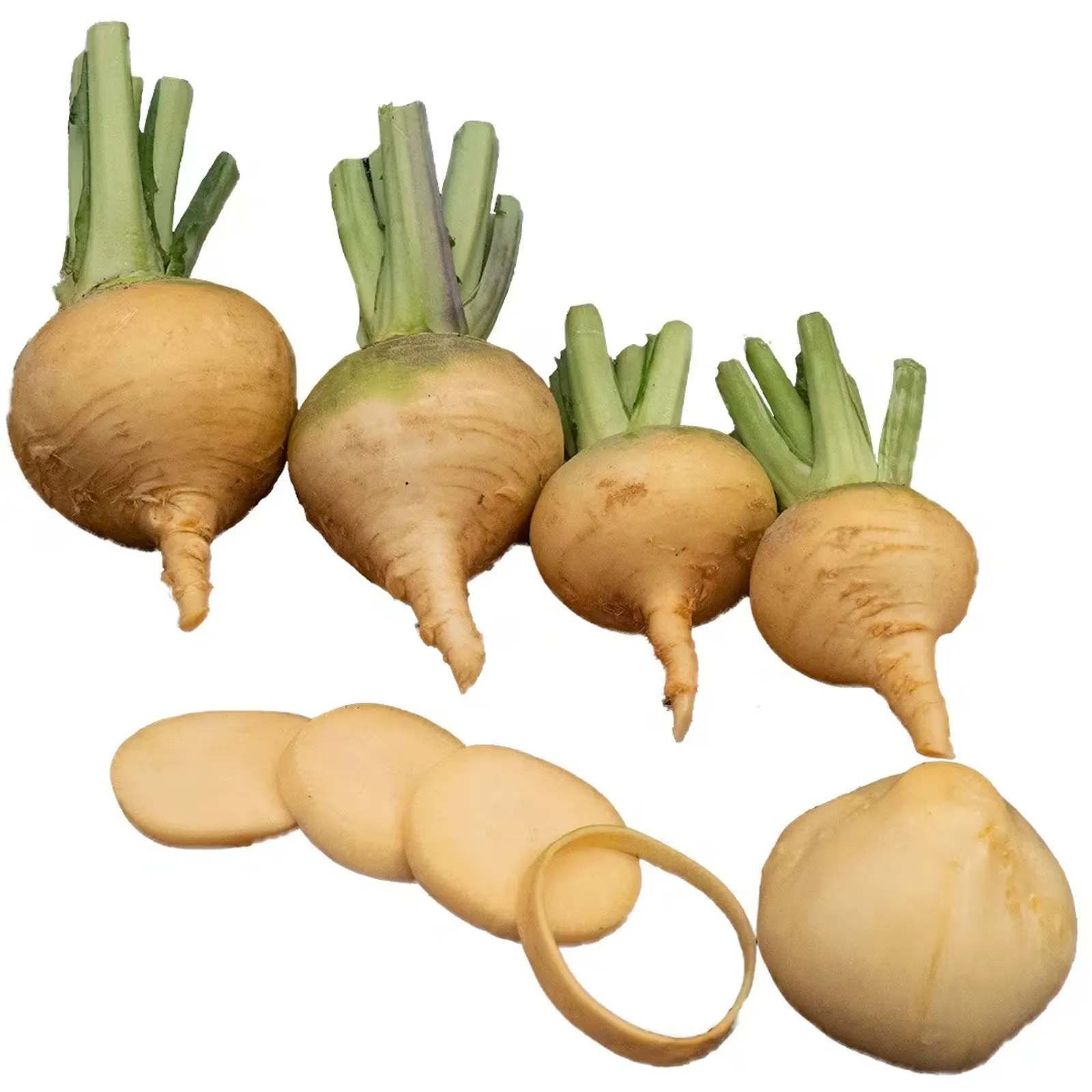 Navone Yellow Cabbage Turnip Rutabaga