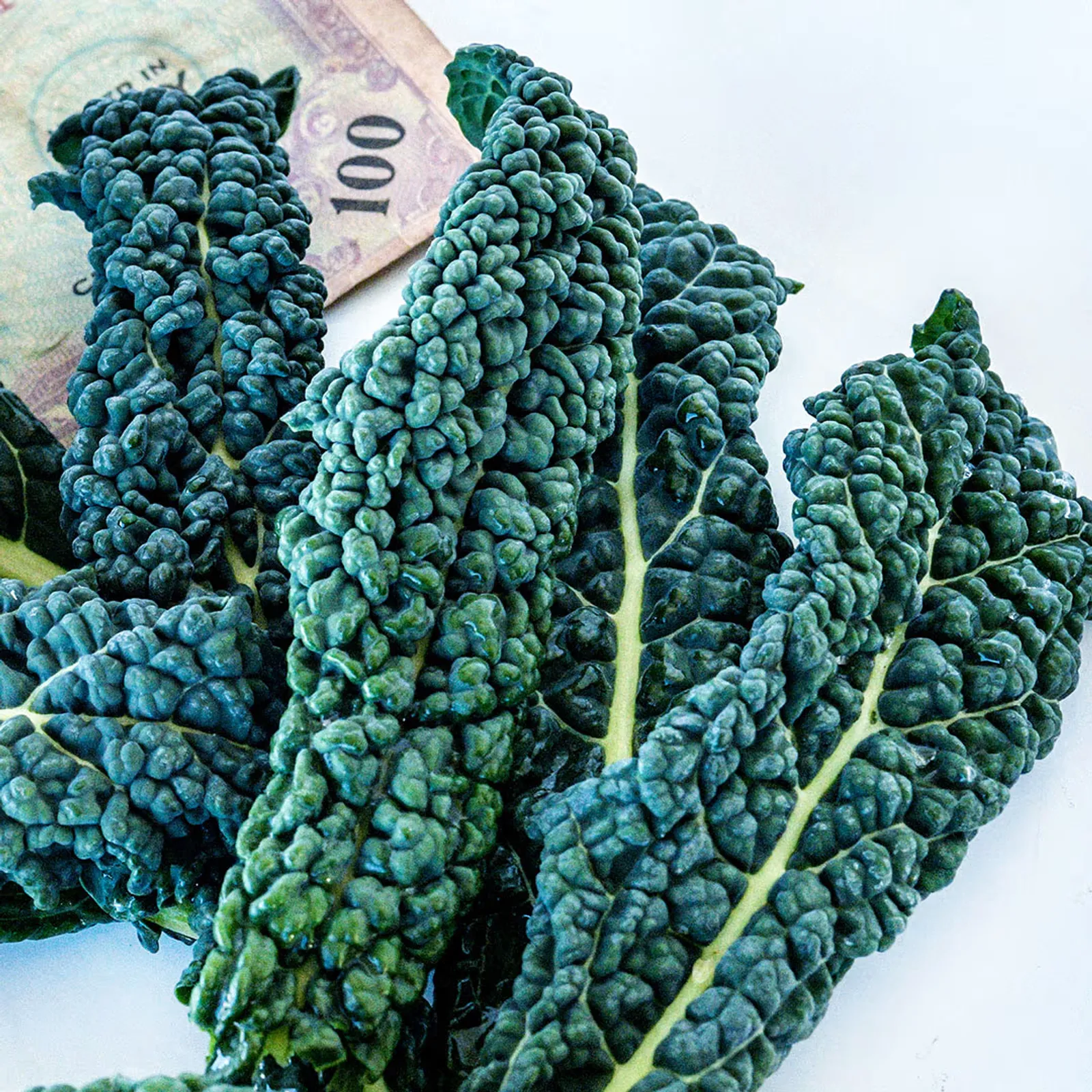 Nero Di Toscana Kale