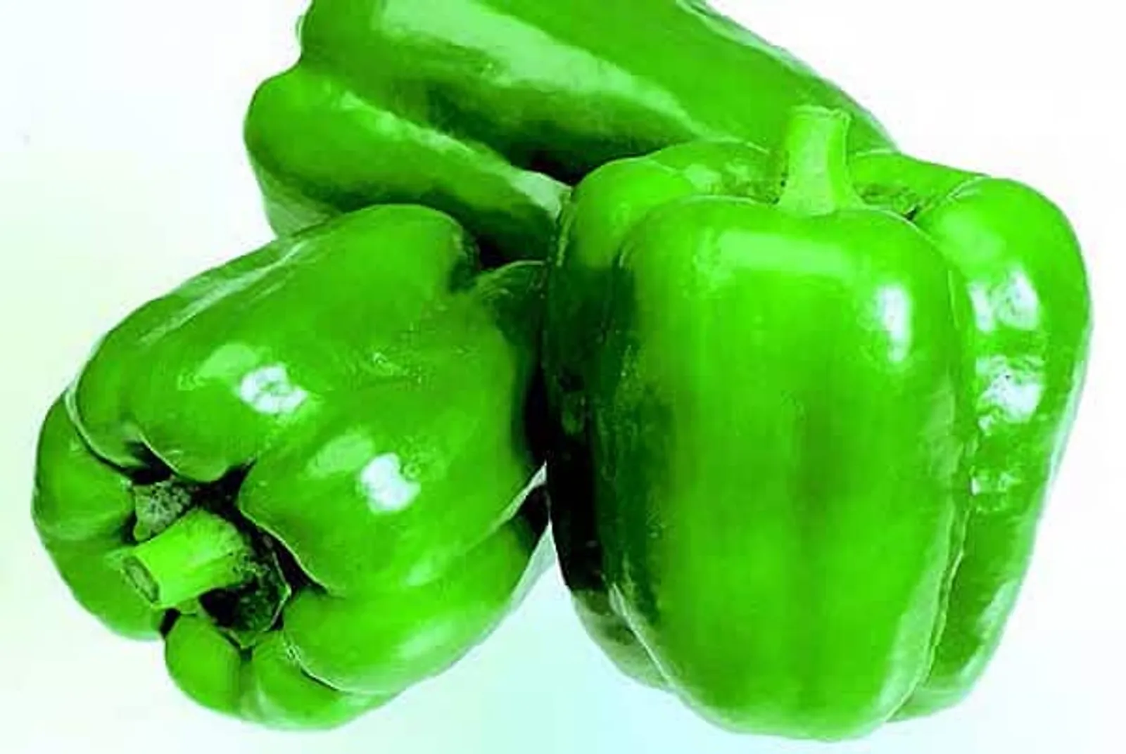New Ace Peppers