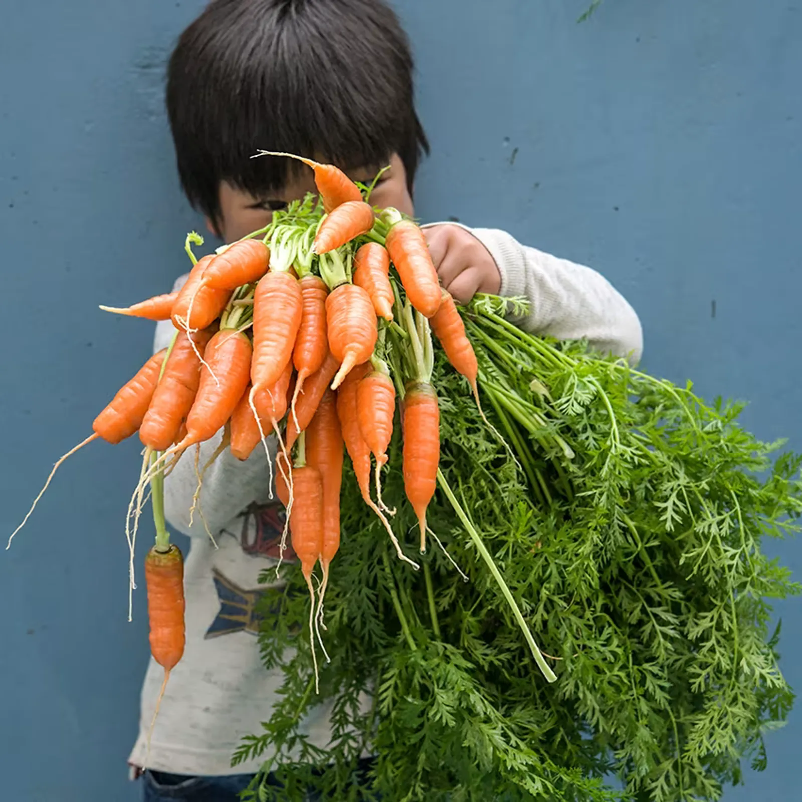 New Kuroda Carrots