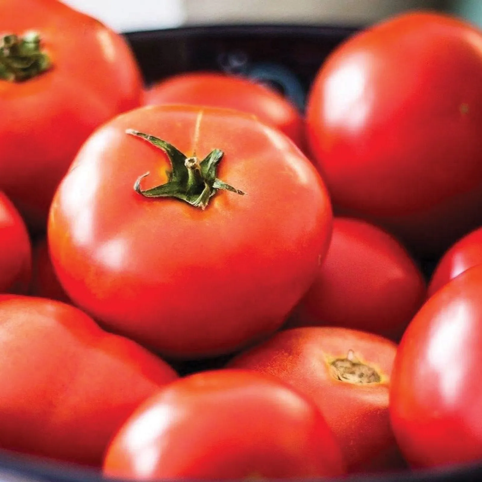 New Yorker Tomatoes