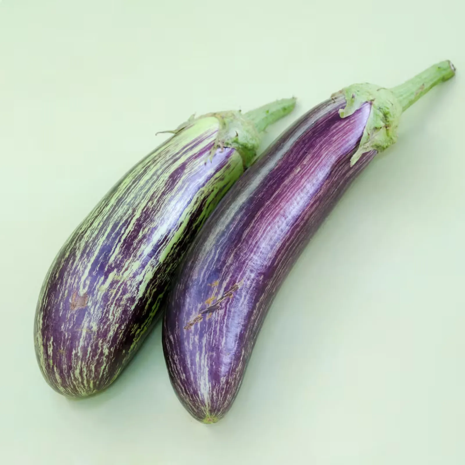 Niranjan Bhata Eggplant