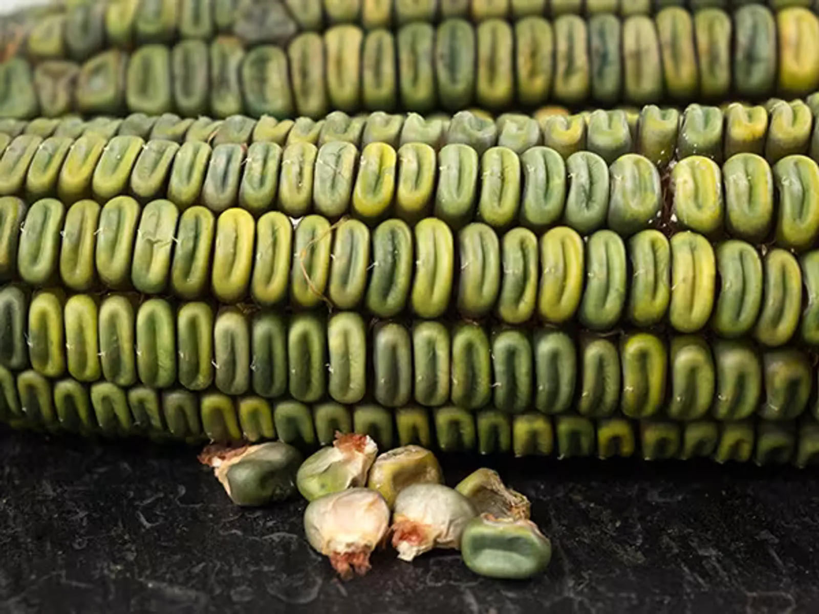 Oaxacan Green Corn