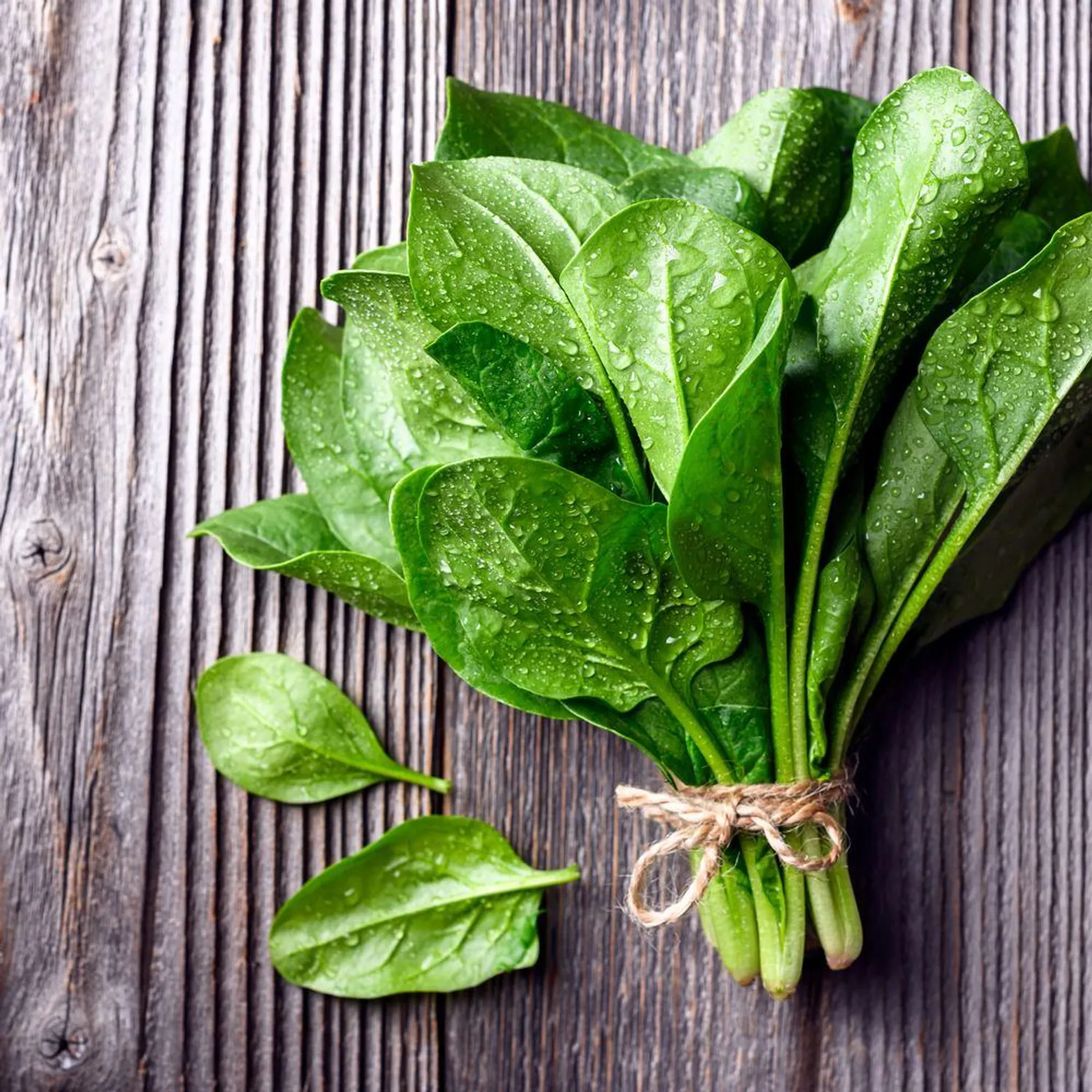 Oceanside Spinach