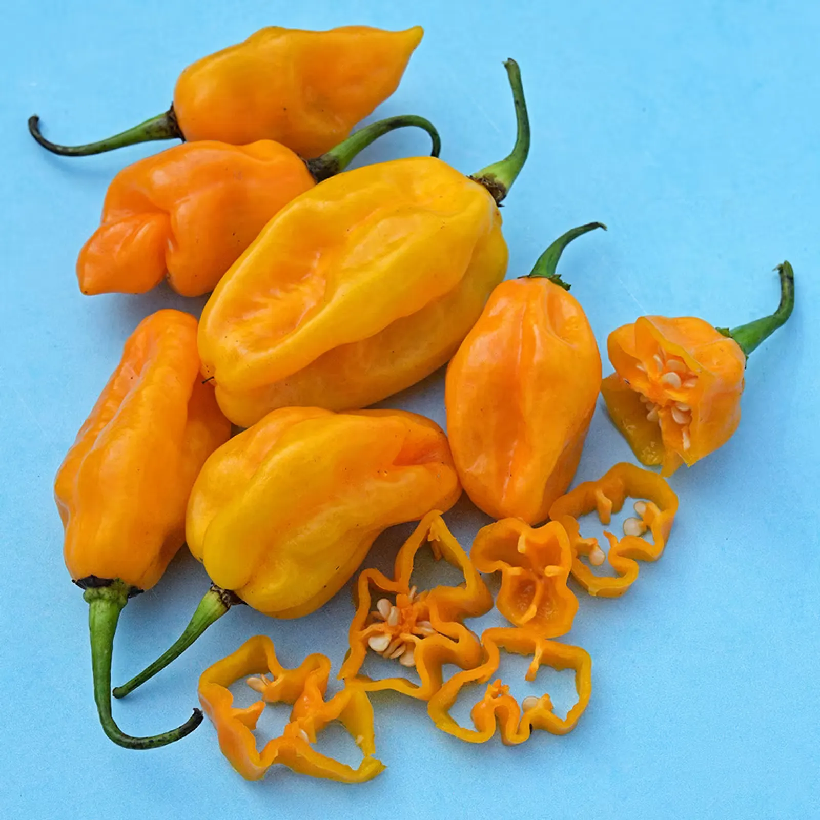Ojeenmma Peppers