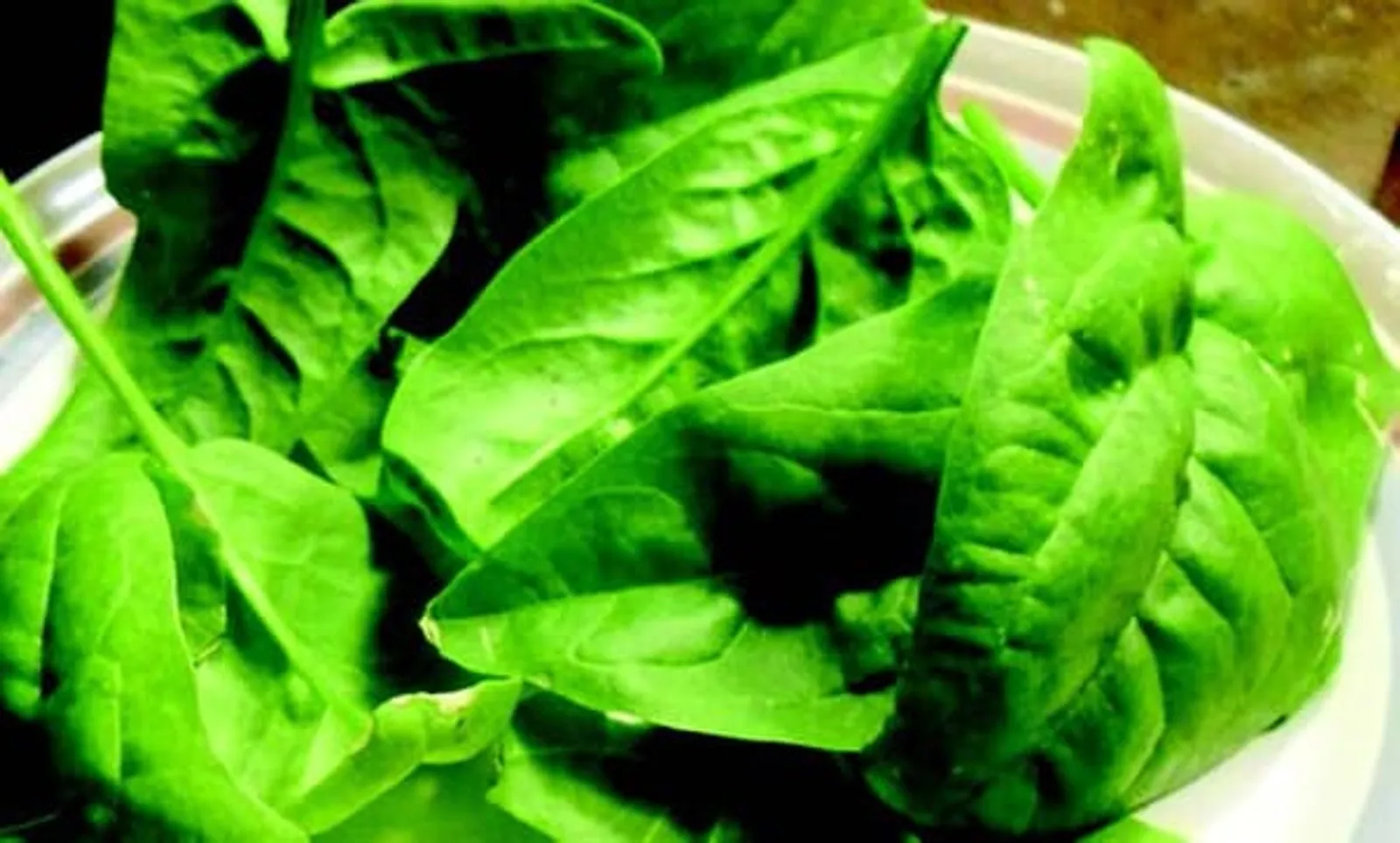 Olympia Spinach