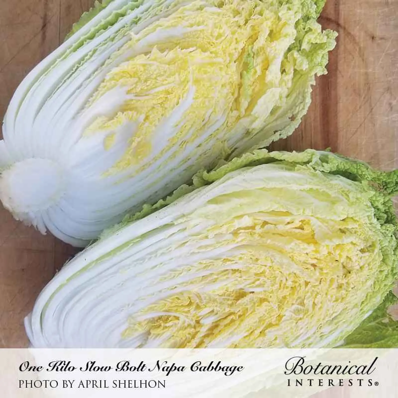 One Kilo Slow Bolt Napa Cabbage