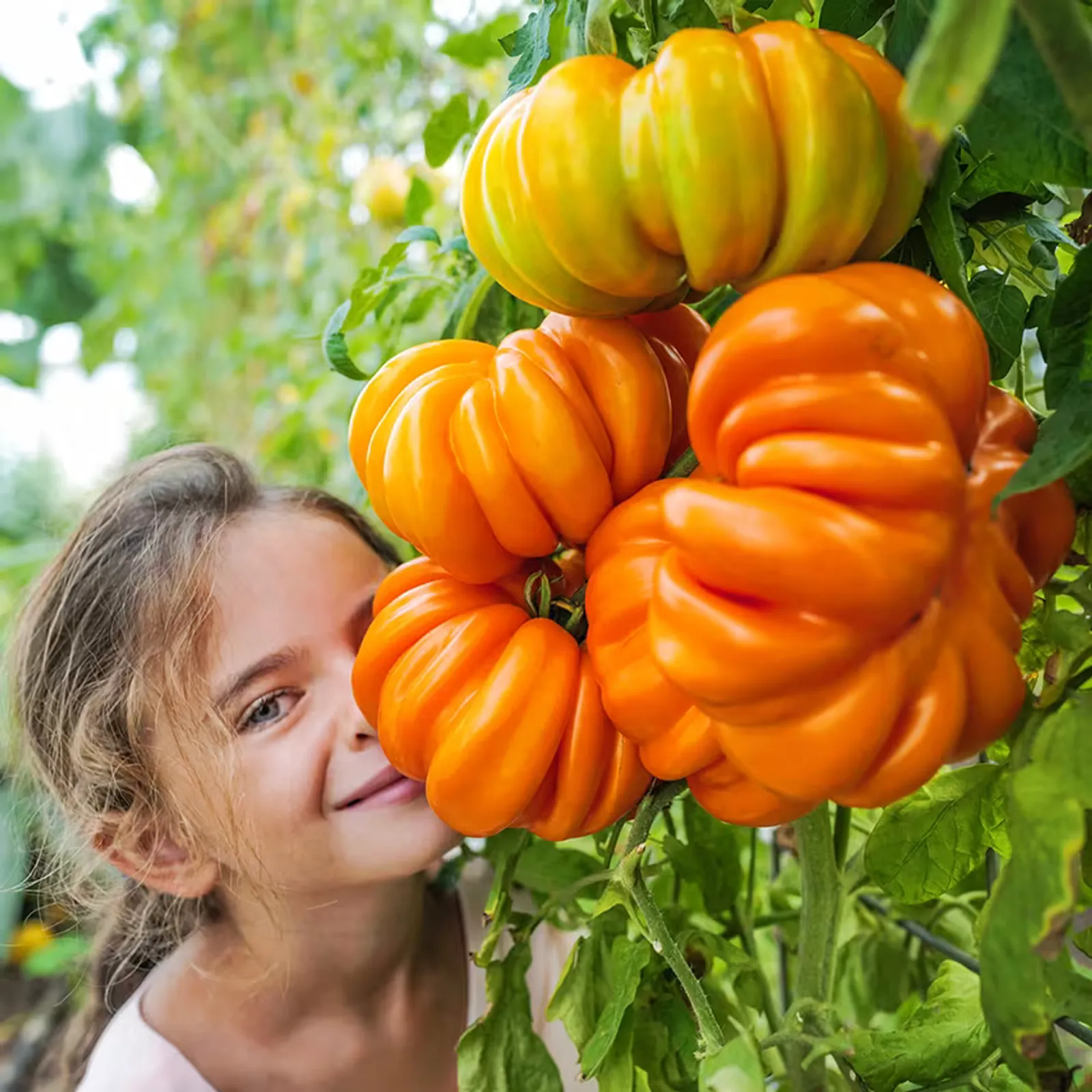 Orange Accordion Tomatoes