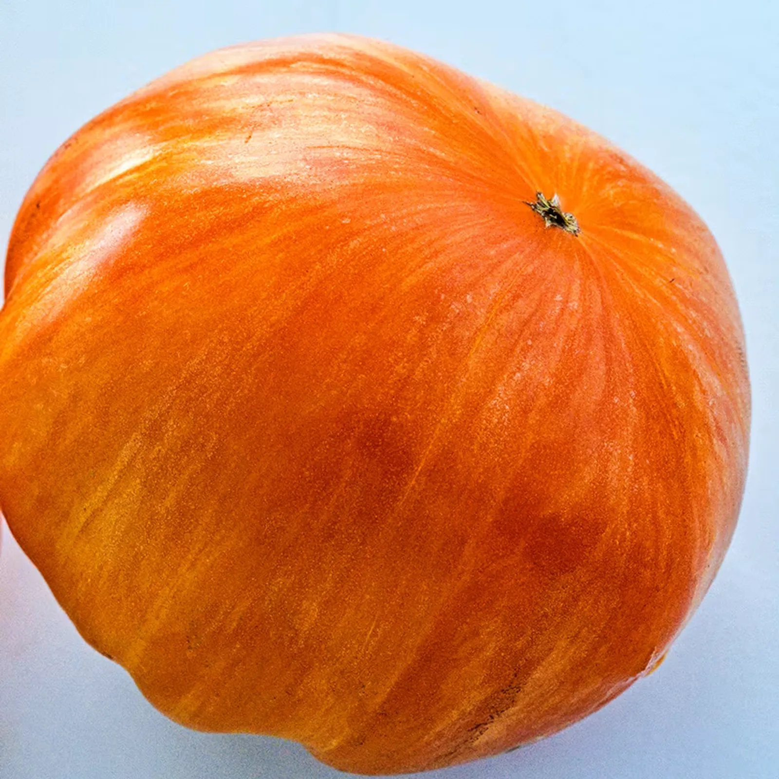 Orange Jazz Tomatoes
