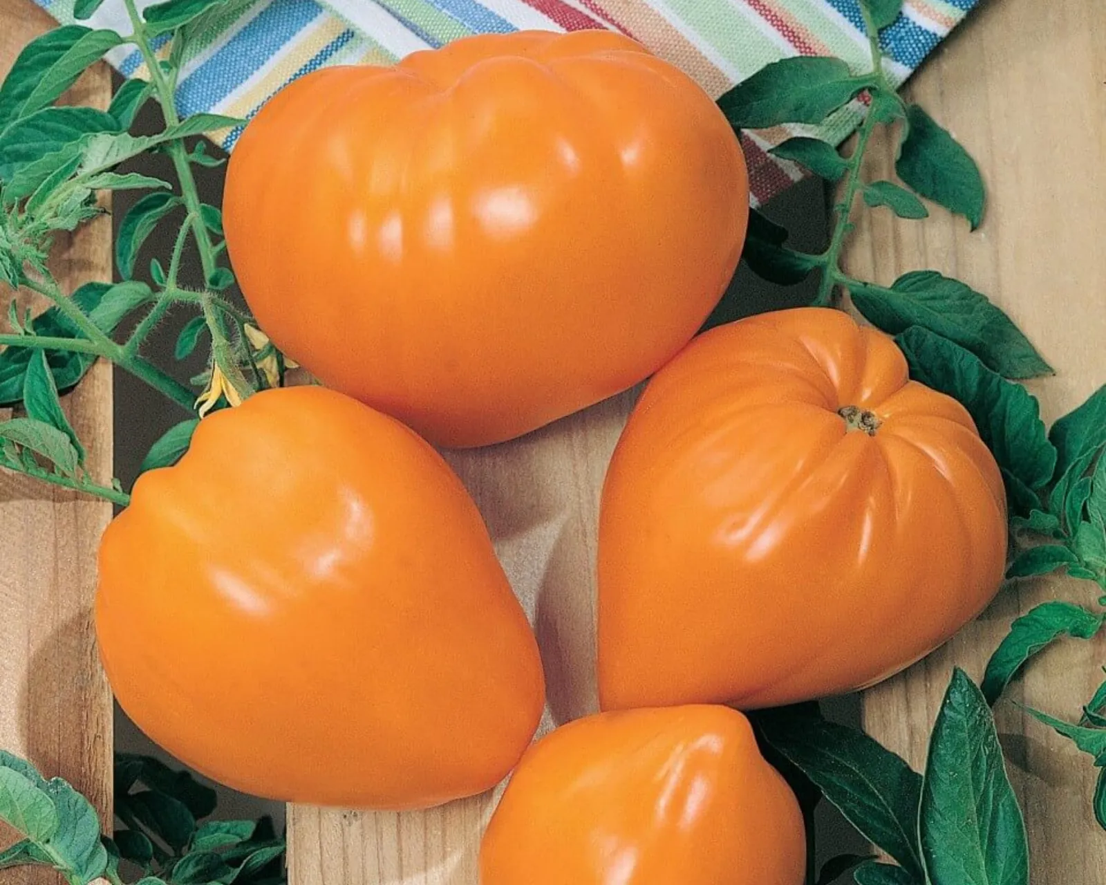 Orange Strawberry Tomatoes