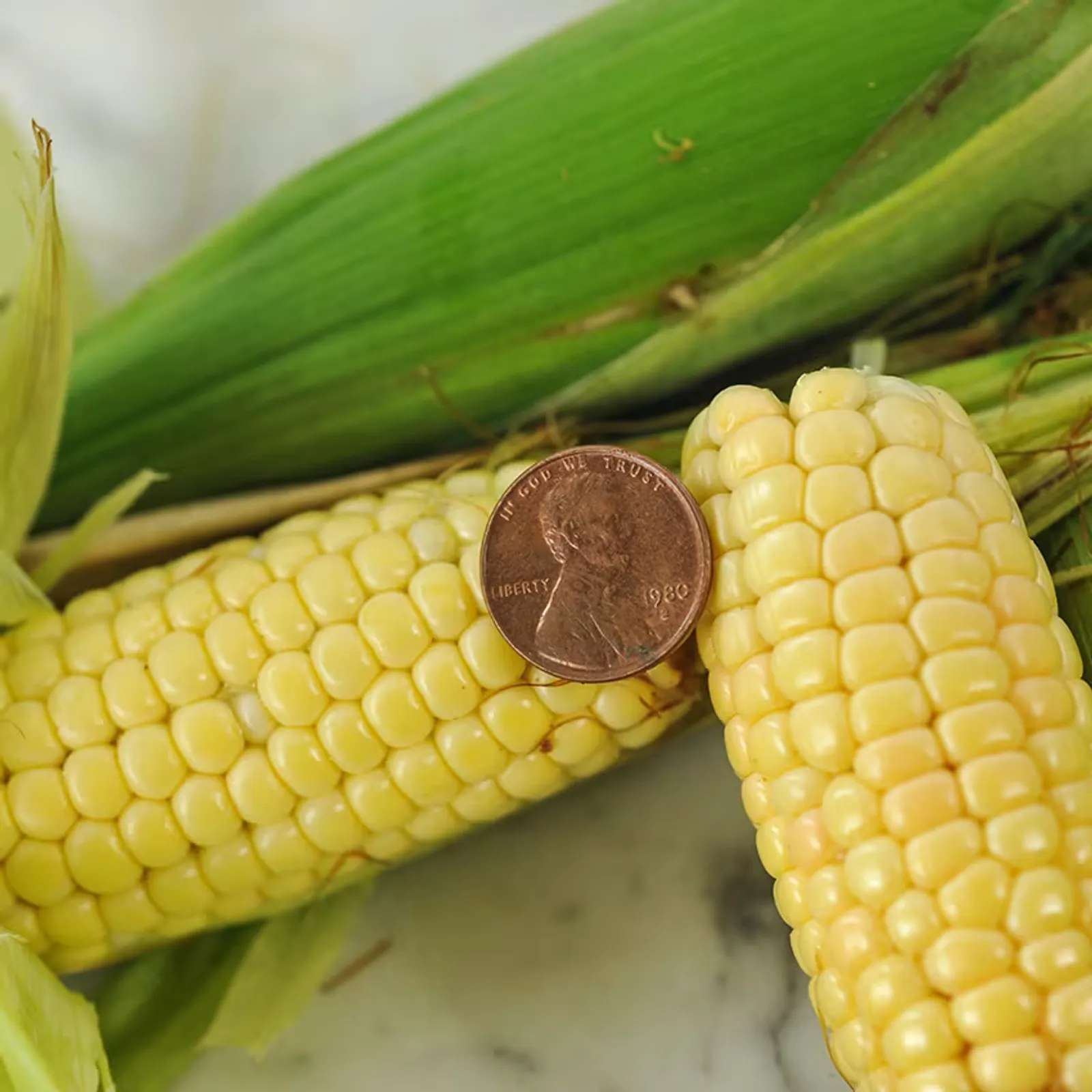Orchard Baby Corn