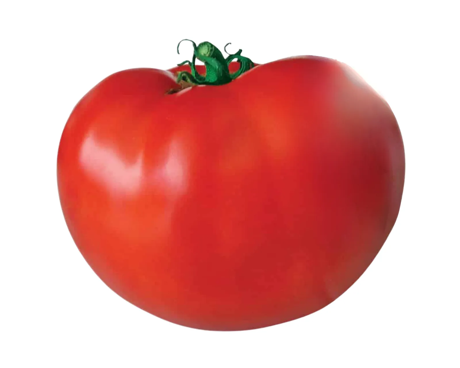 Original Blue Ribbon Tomatoes