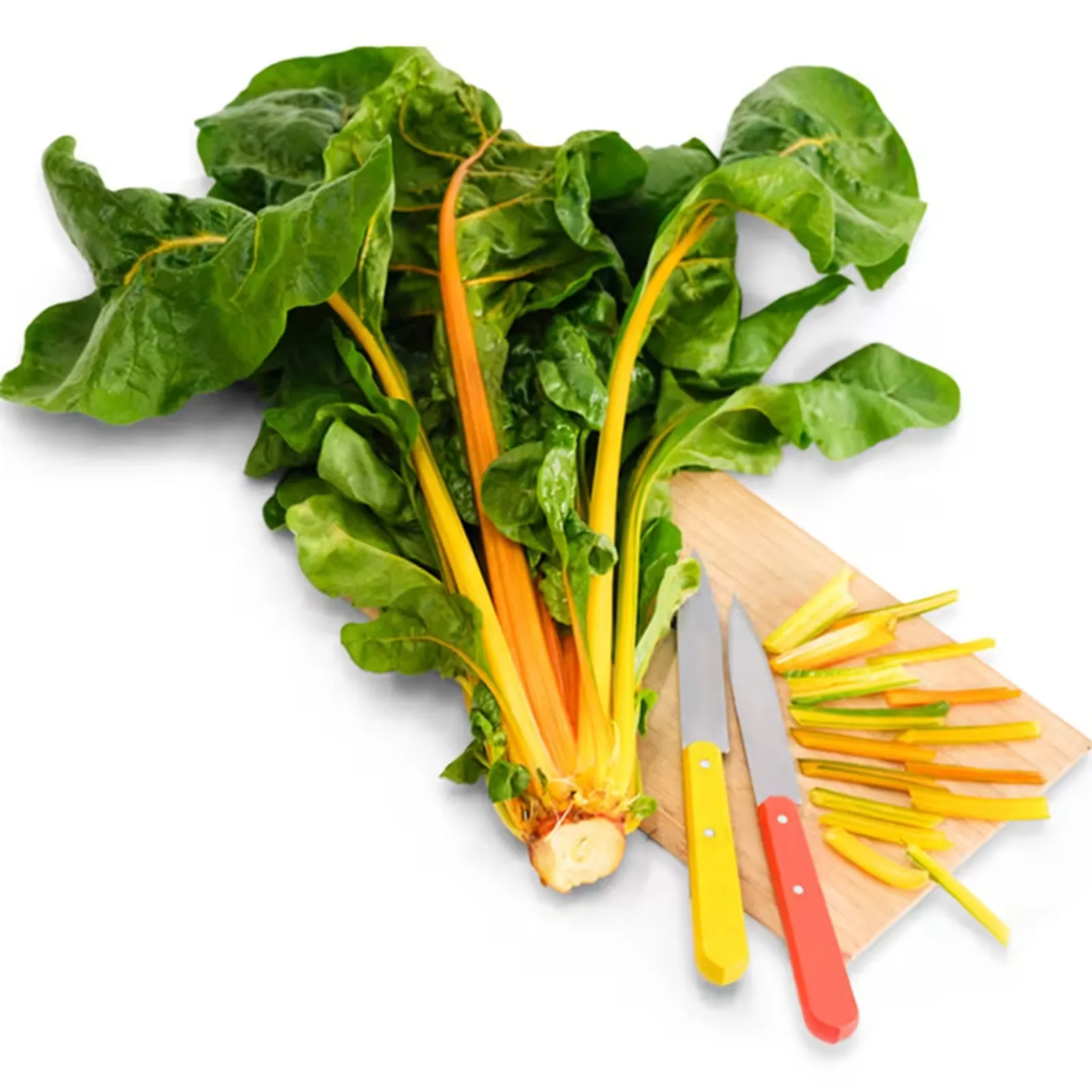 Oriole Orange Chard