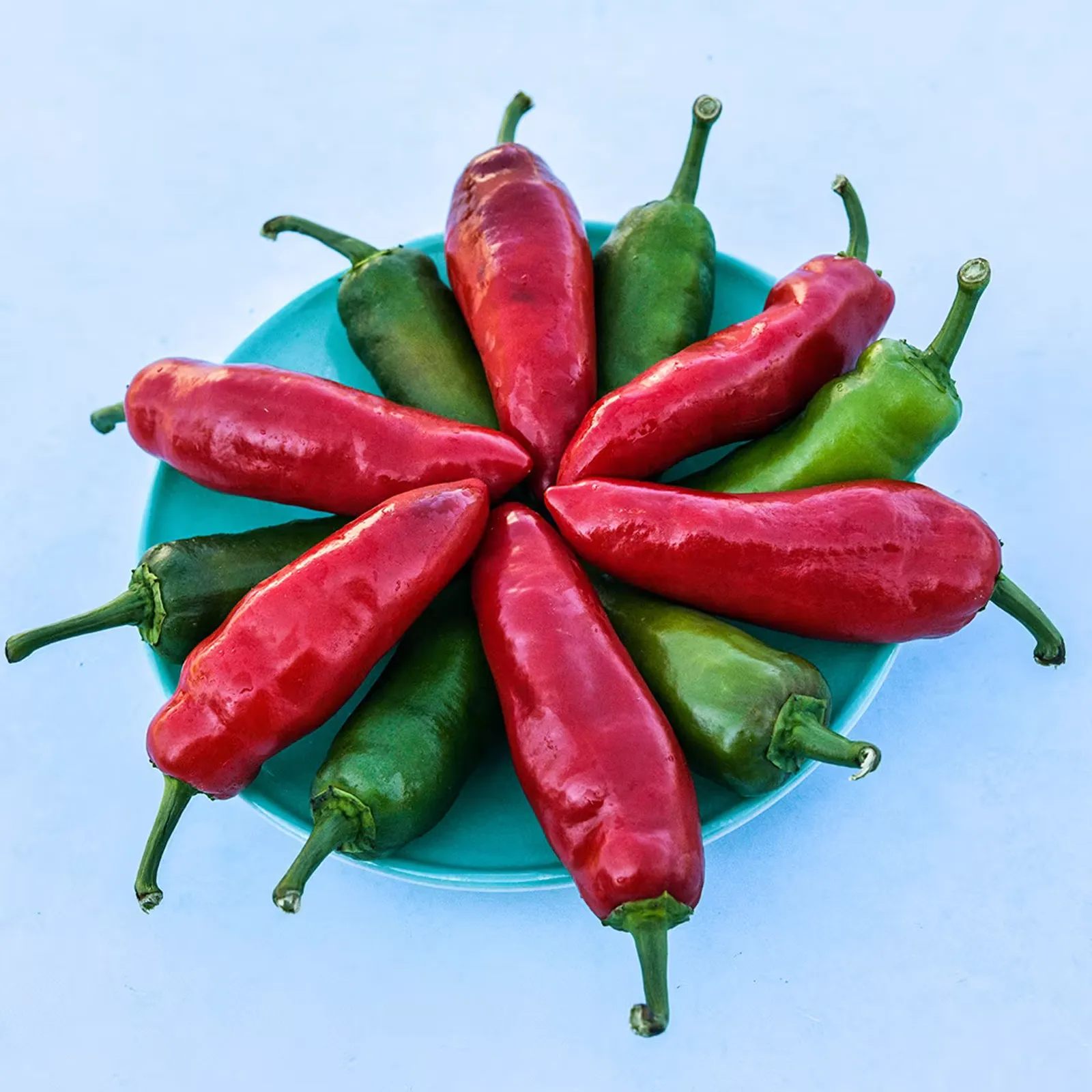 Palmetto Punch Peppers