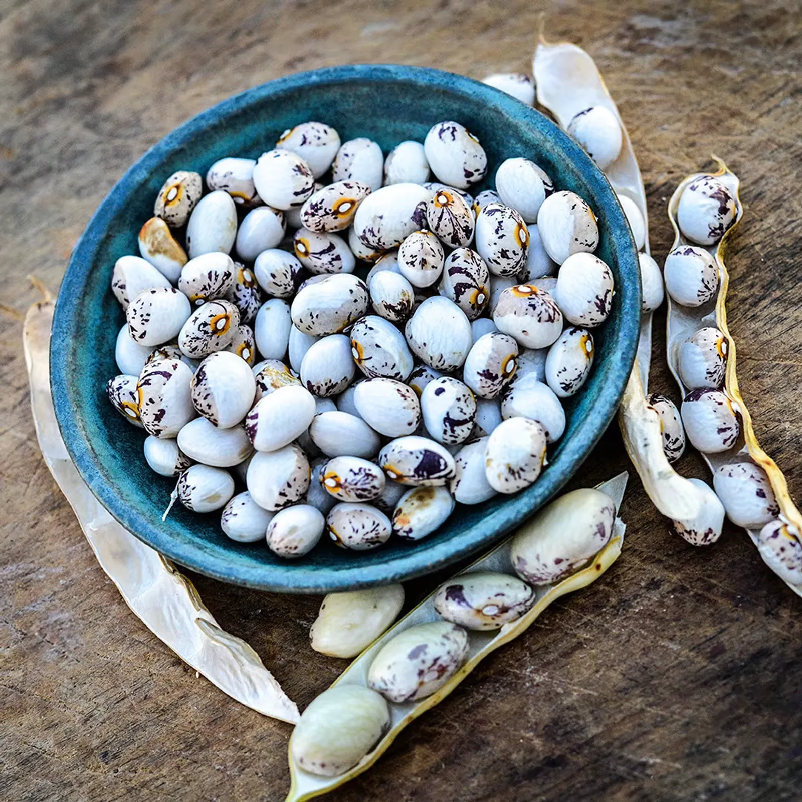 Papa De Rola Beans