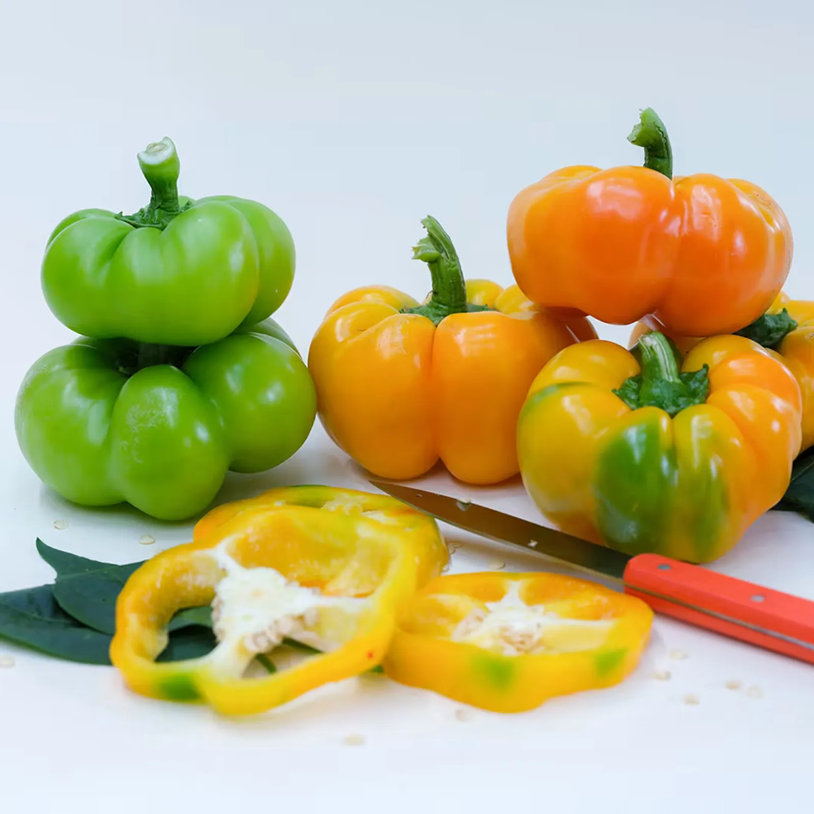 Paradicsom Alaku Peppers