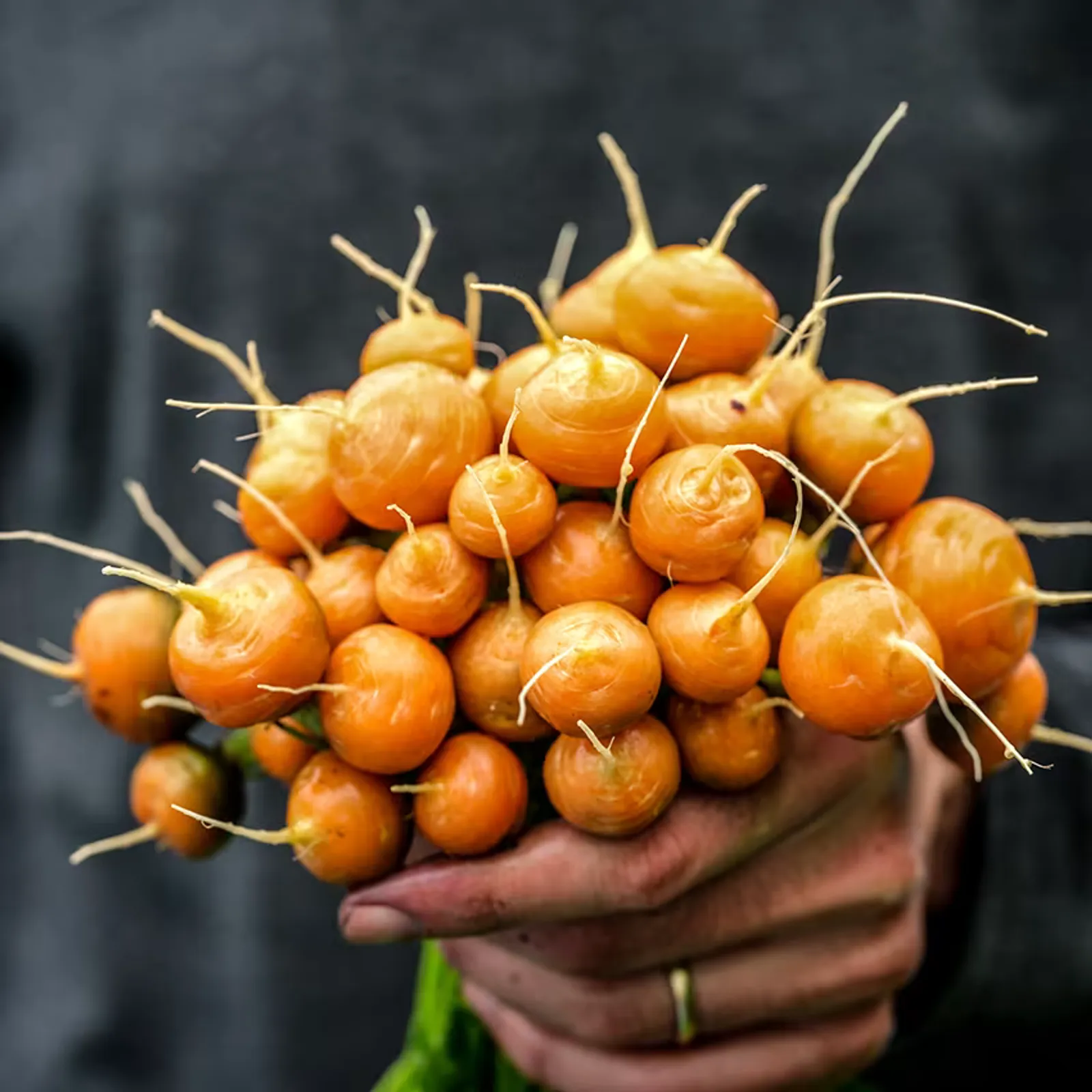 Parisienne Carrots