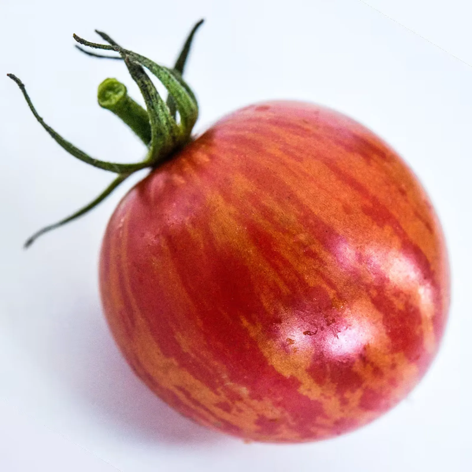 Pink Bumble Bee Tomatoes