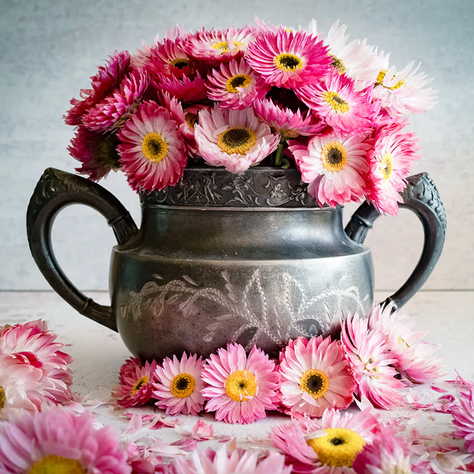 Pink Shades Paper Daisy