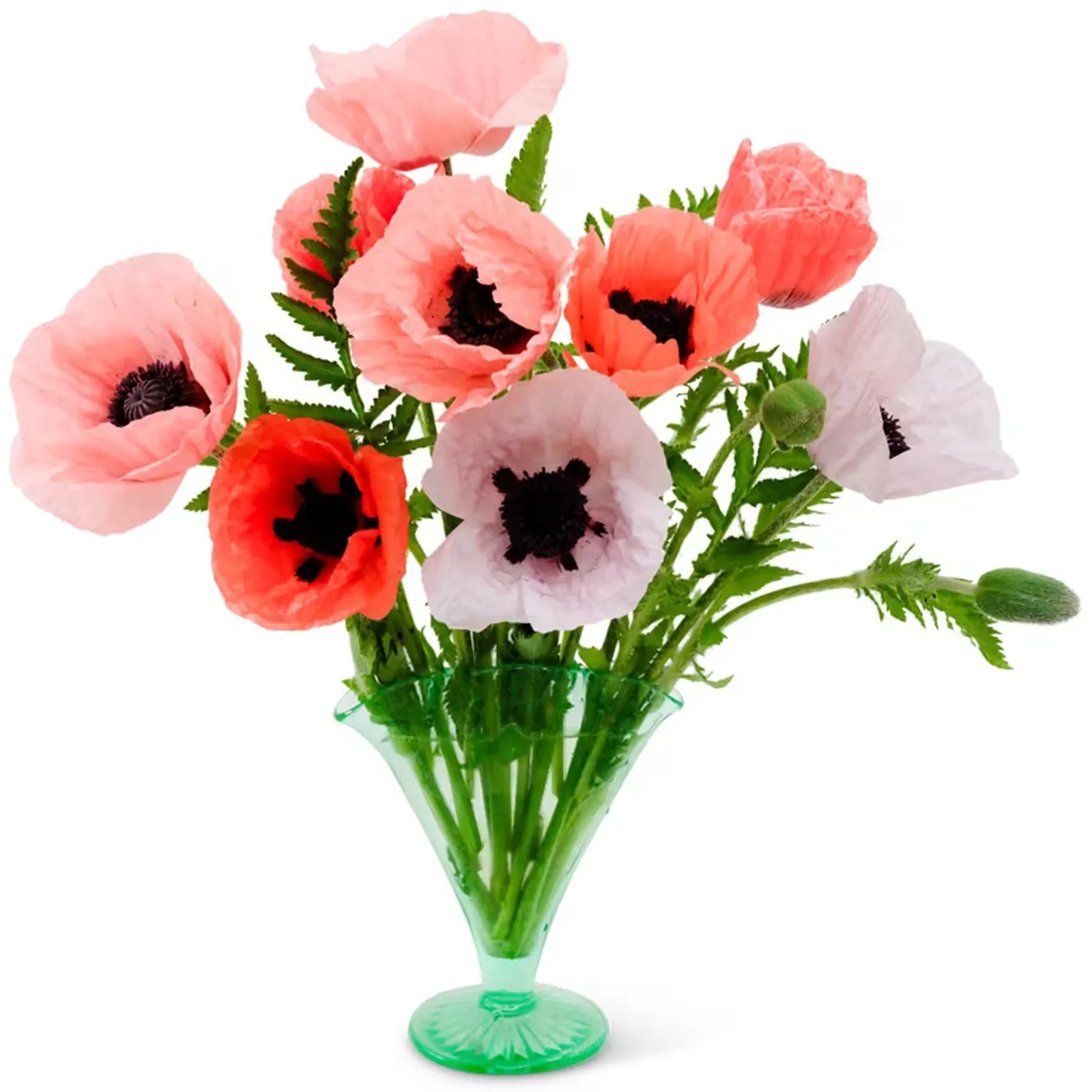 Pizzicato Poppies