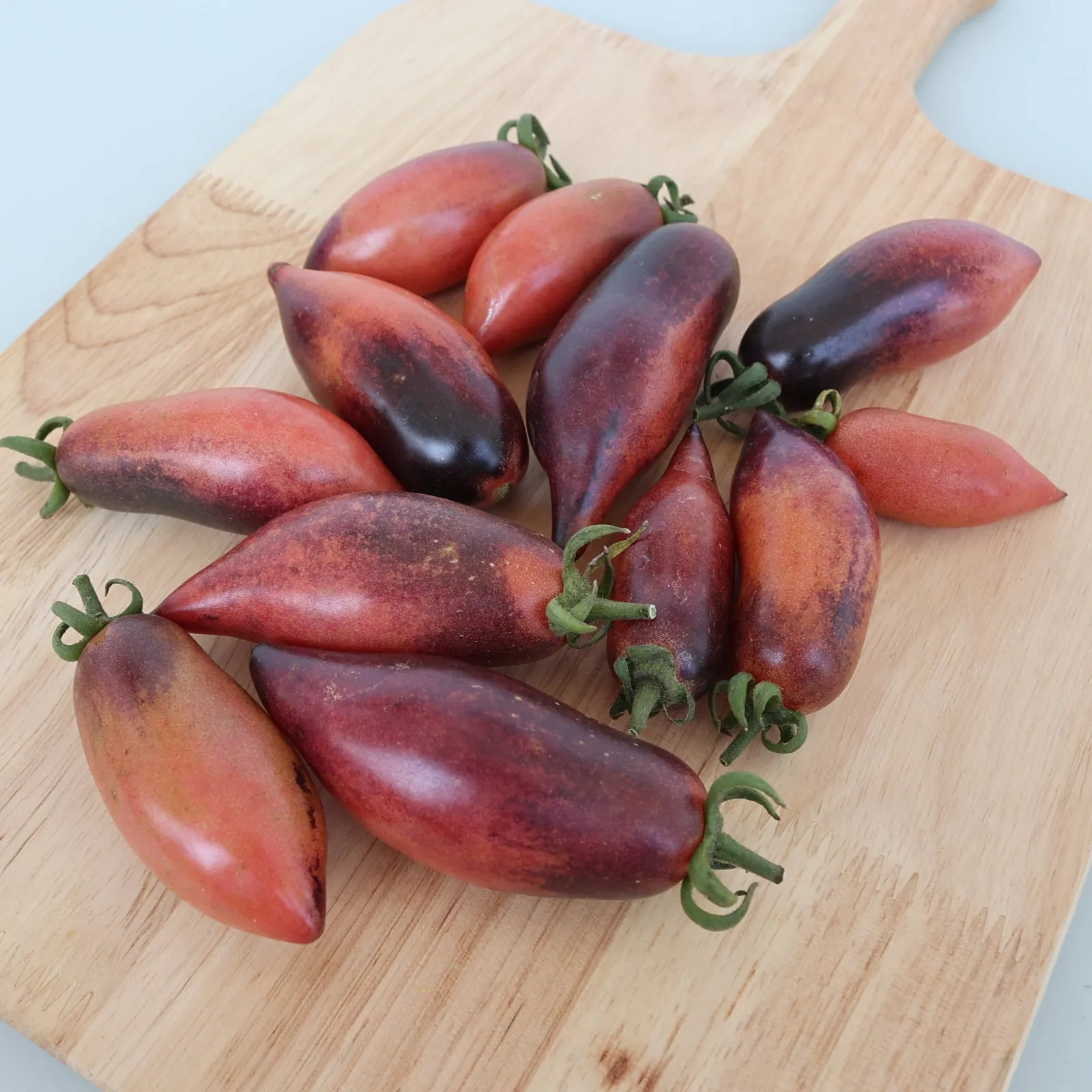 Plumsicle Tomatoes