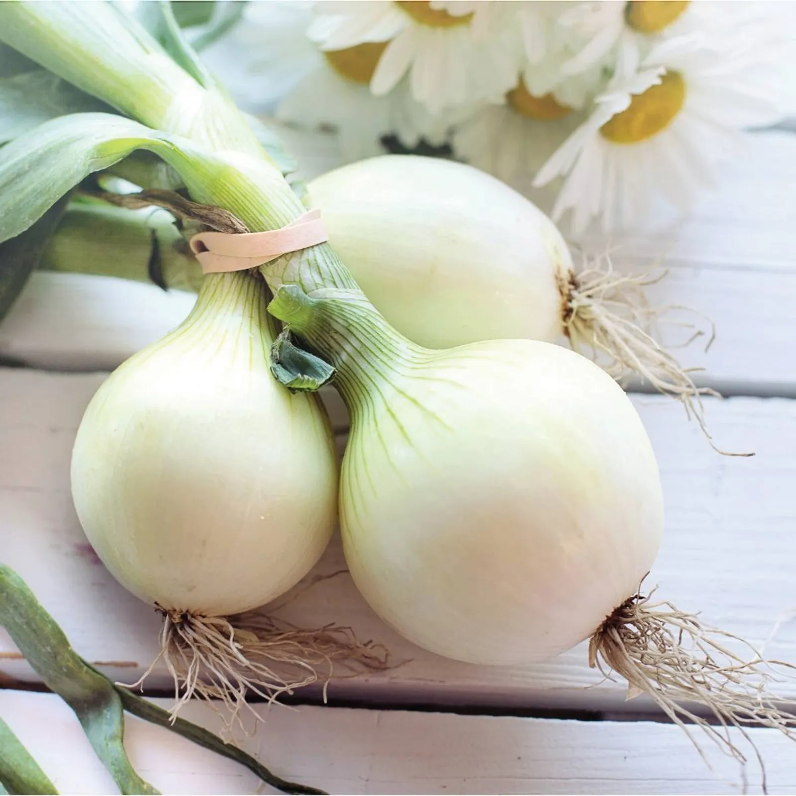 Pompeii Onions