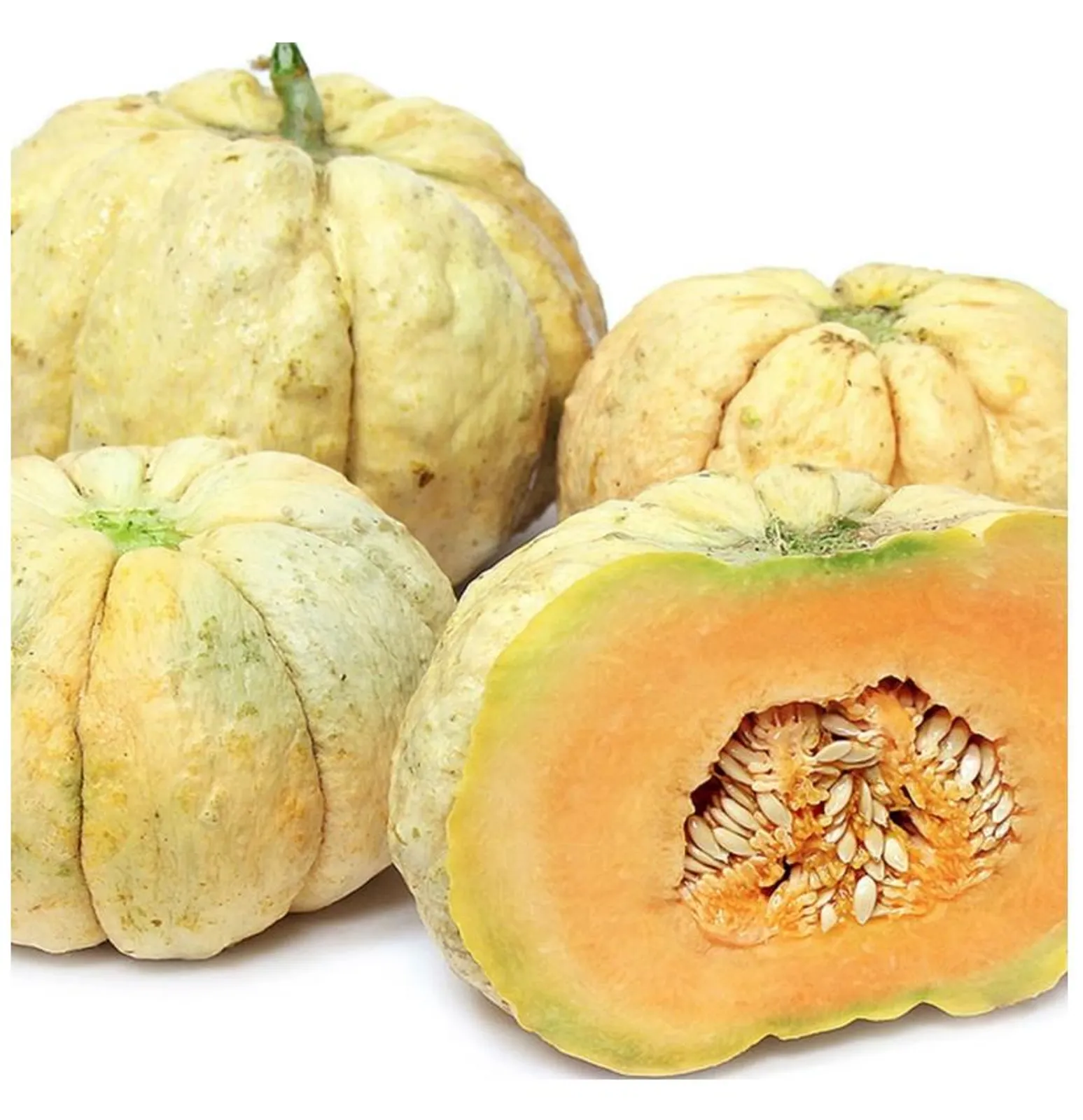 Prescott Fond Blanc Melon Cantaloupe