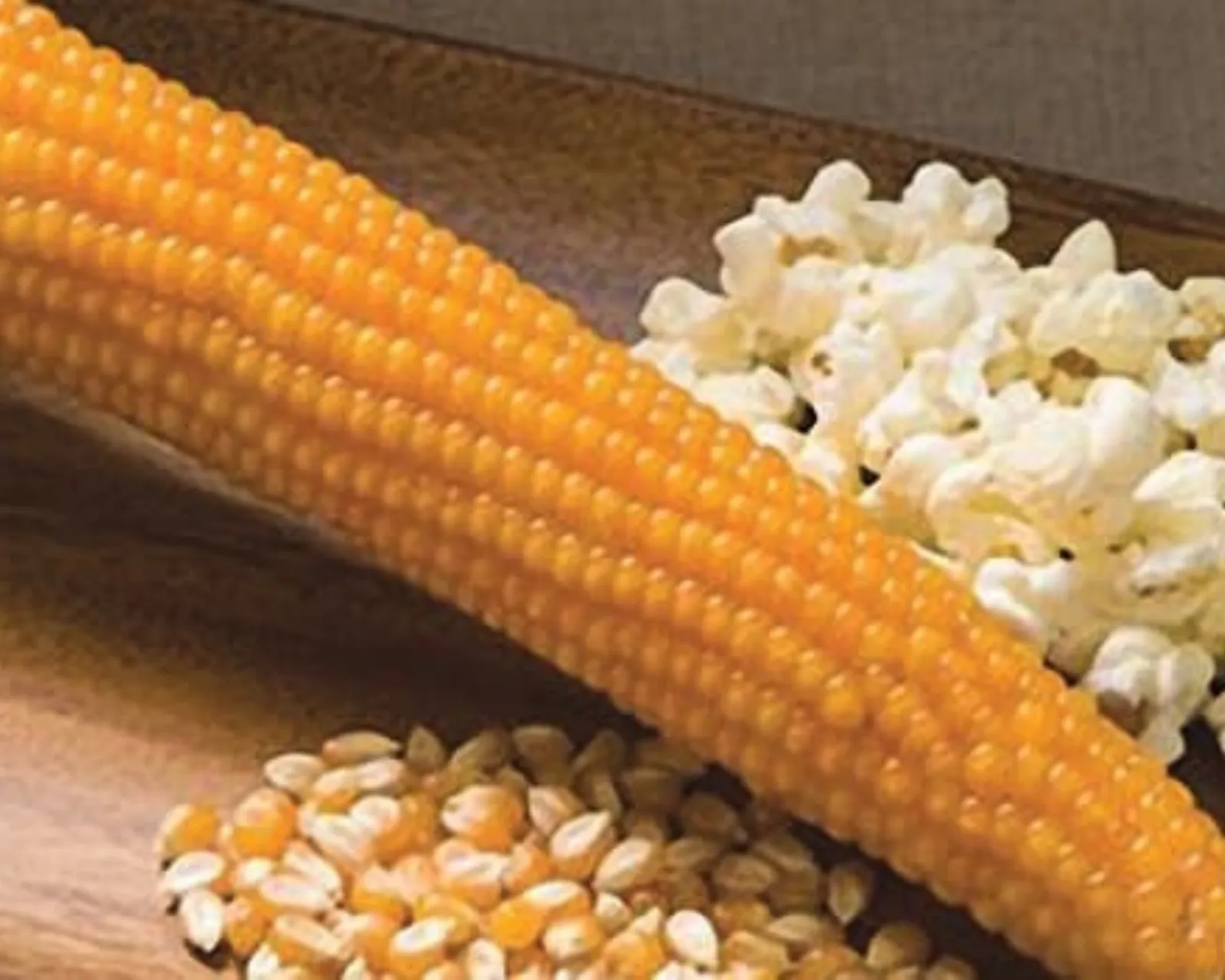 Purdue 410 Hybrid (Yellow) Corn