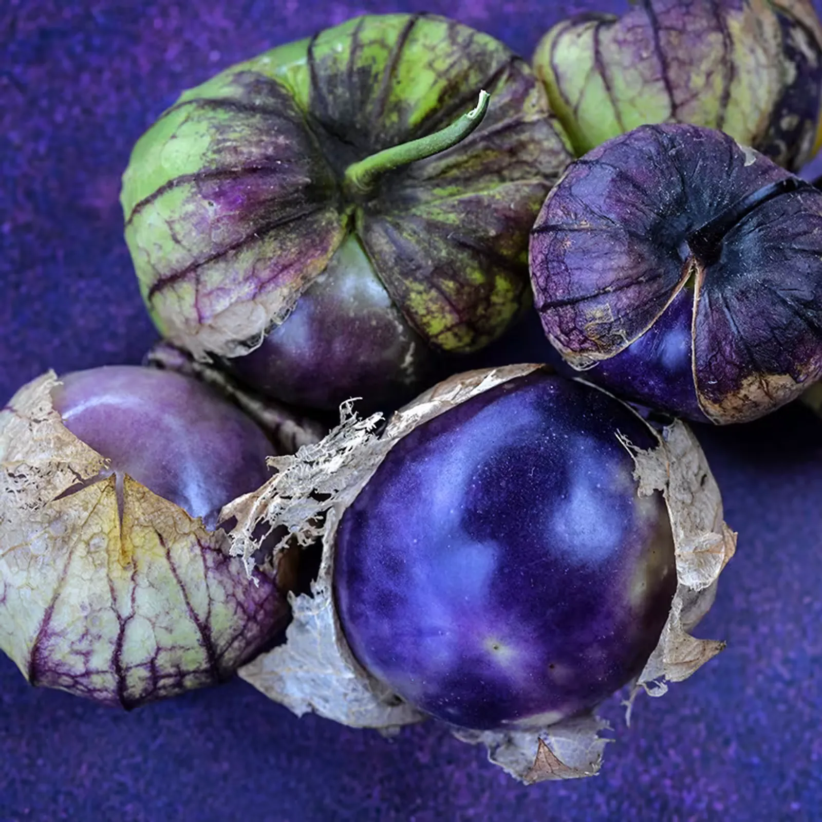 Purple