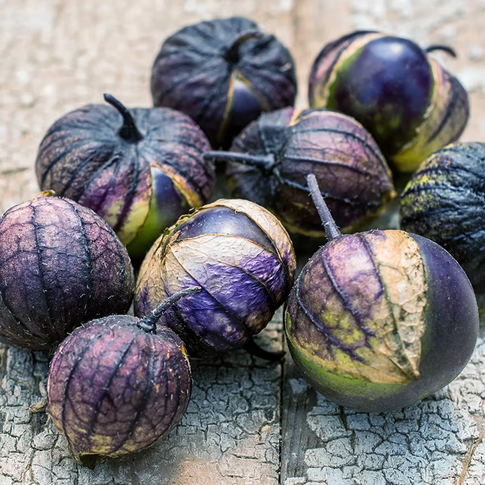 Purple Coban