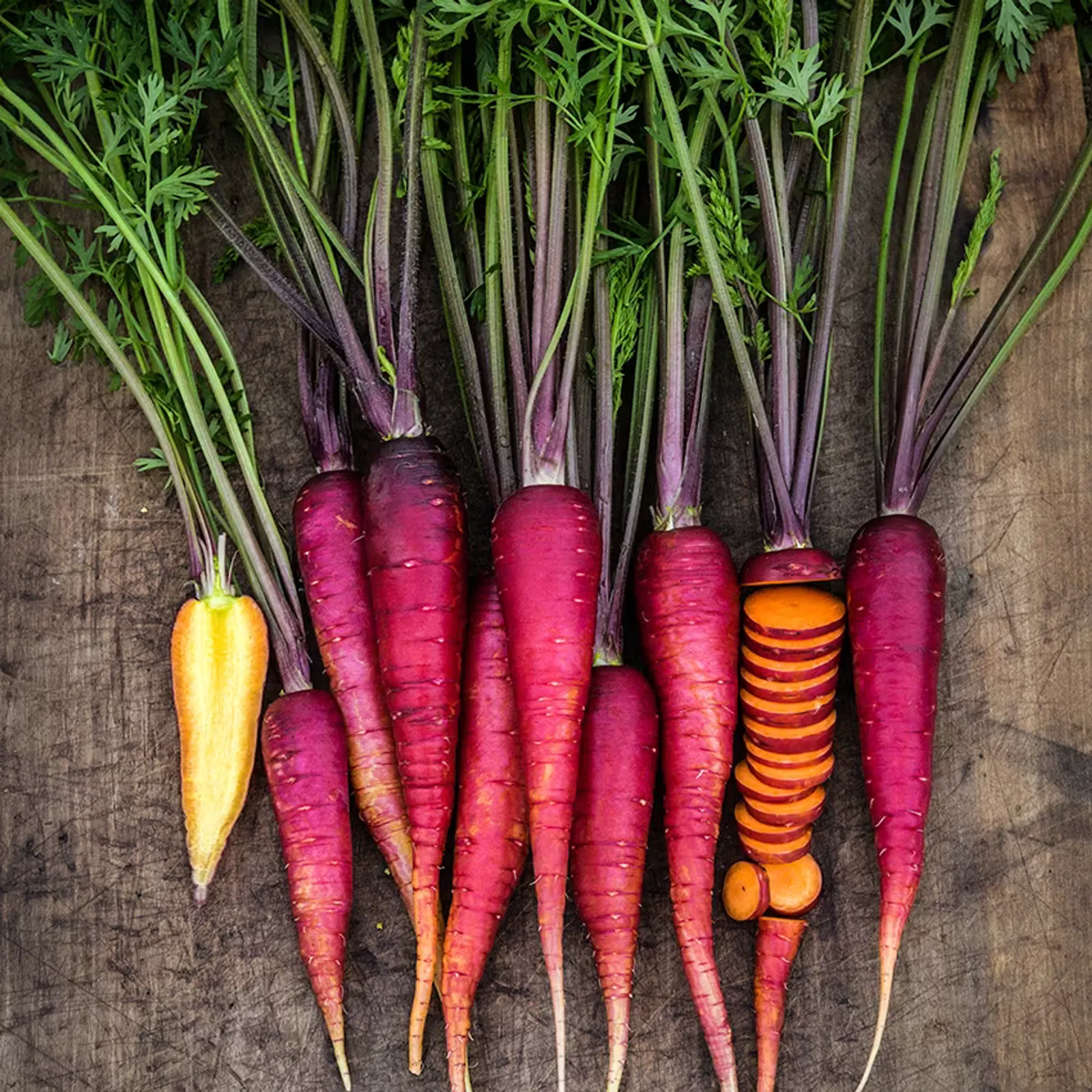 Purple Dragon Carrots