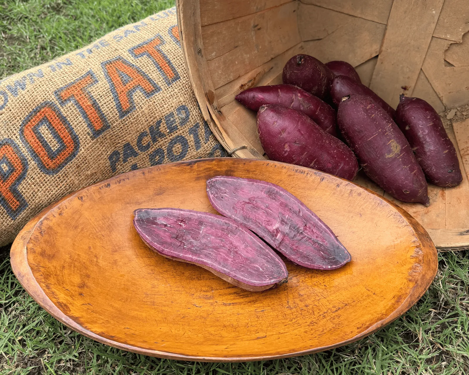 Purple Majesty Sweet Potatoes
