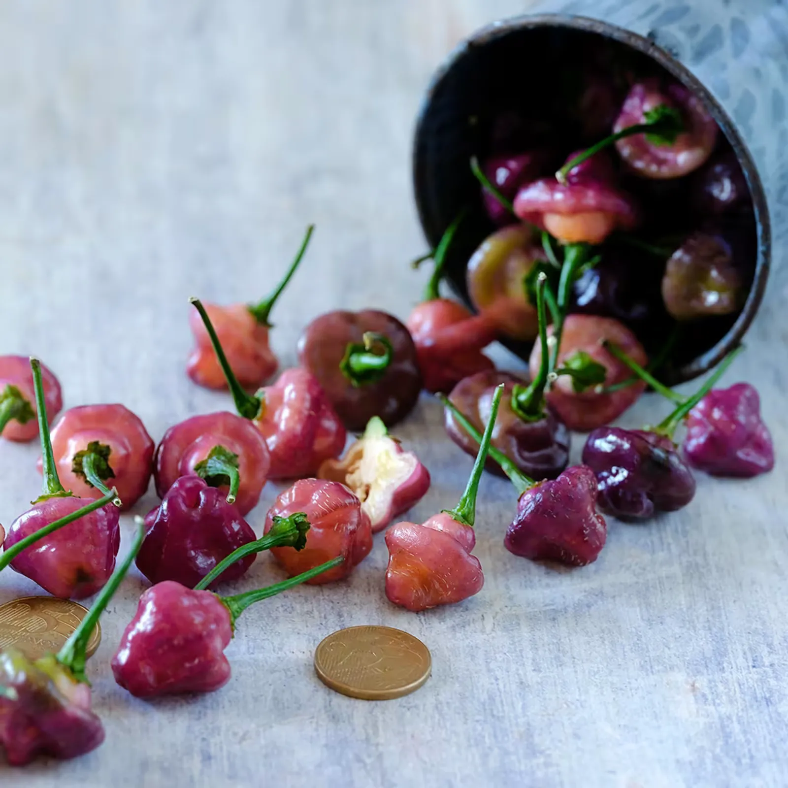 Purple Perfume (Cheiro Roxa) Peppers