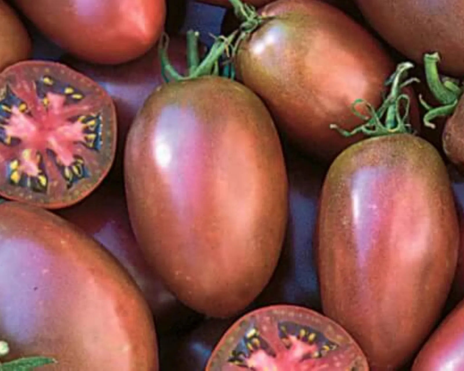 Purple Russian Tomatoes
