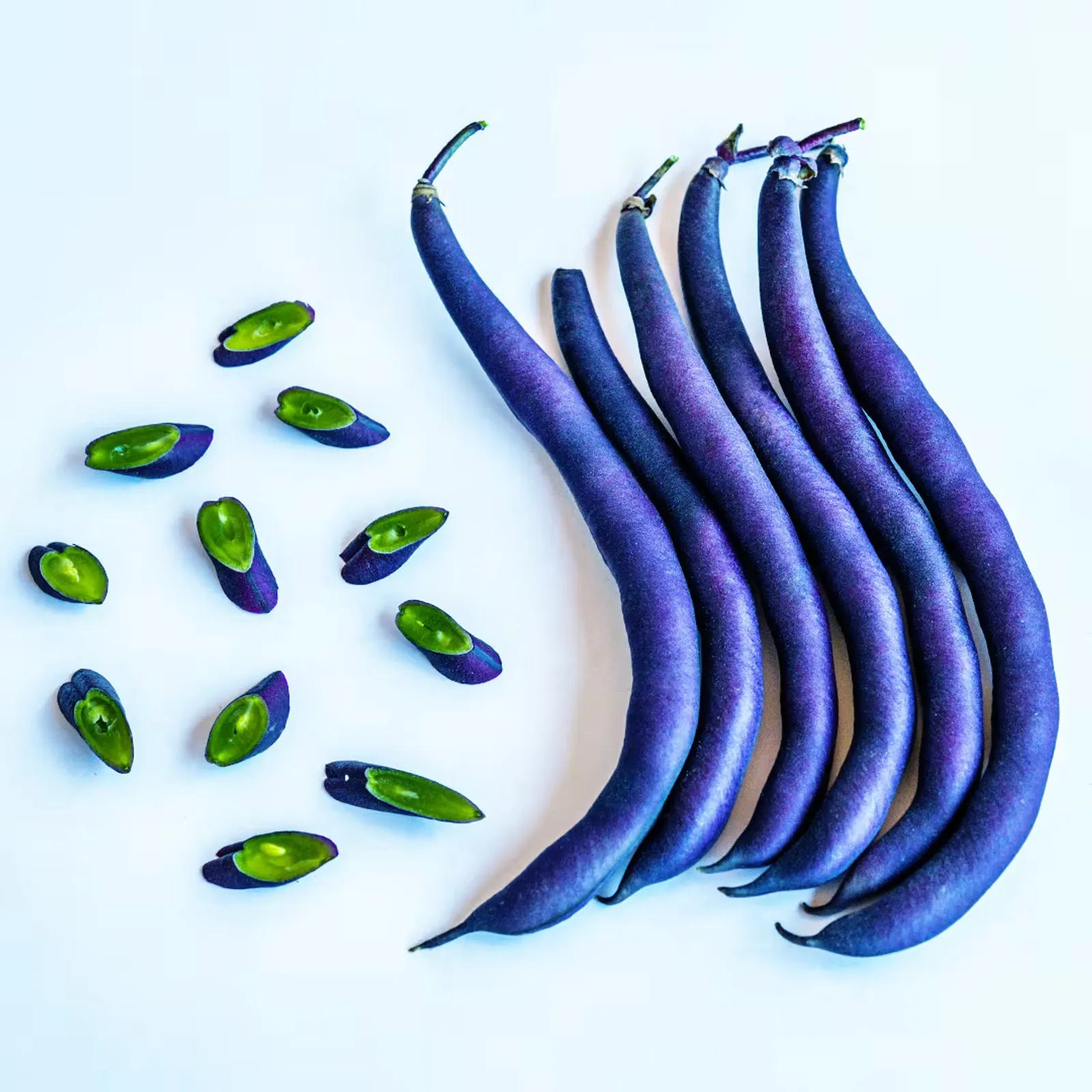 Purple Teepee Beans